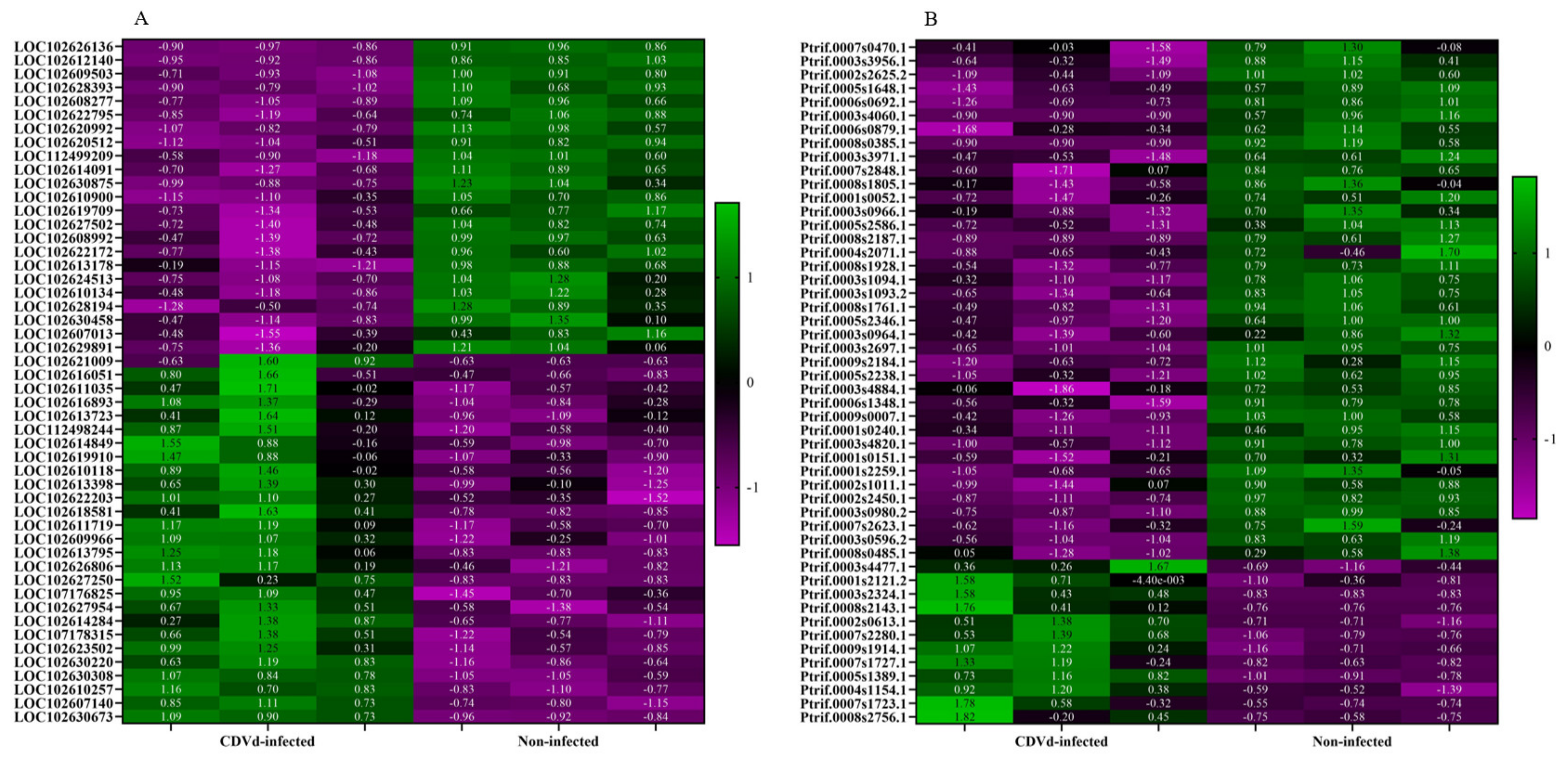 Microorganisms 10 01144 g004