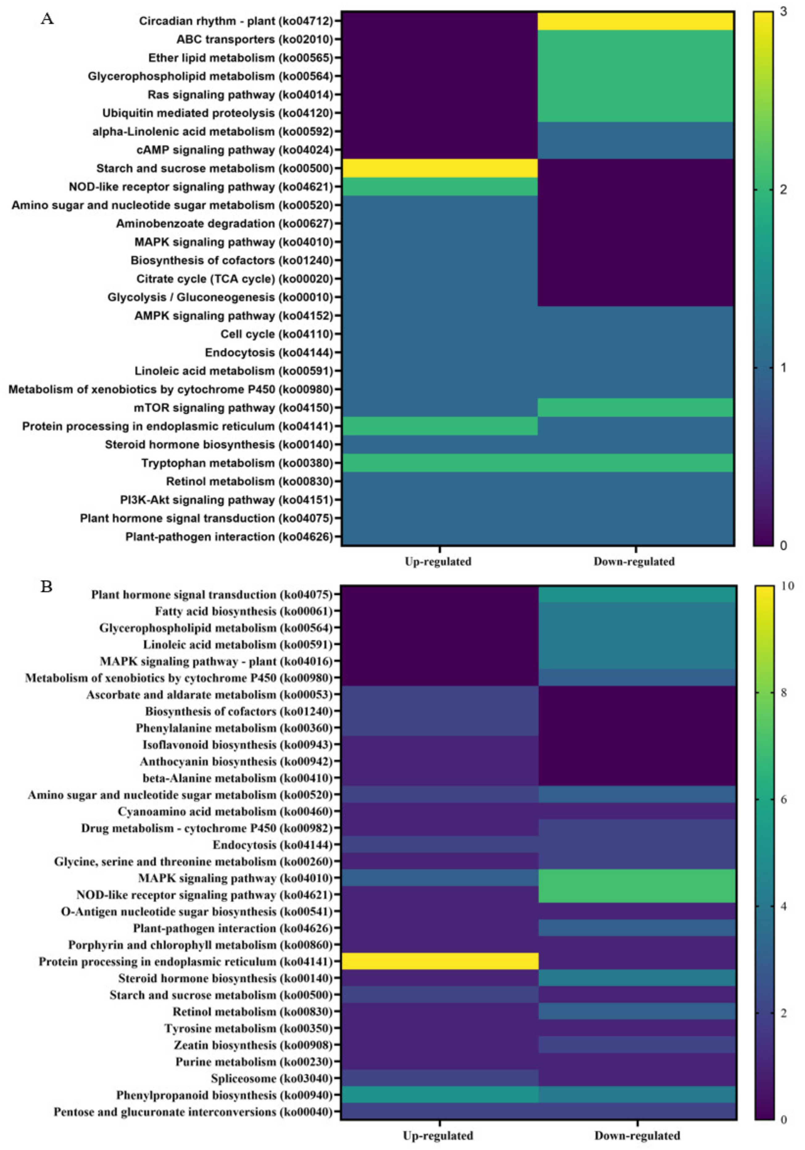 Microorganisms 10 01144 g007