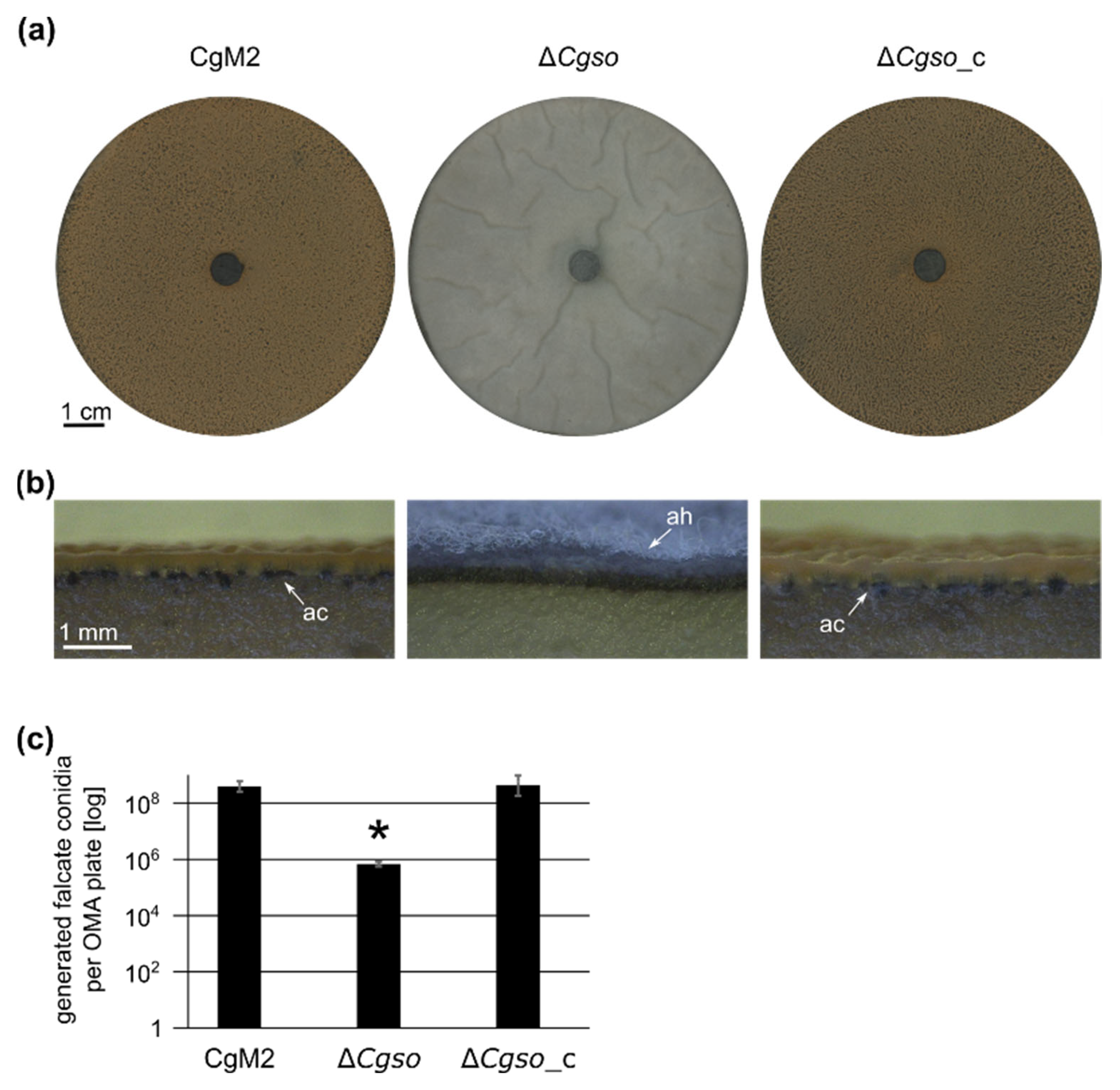 Microorganisms 10 01146 g003