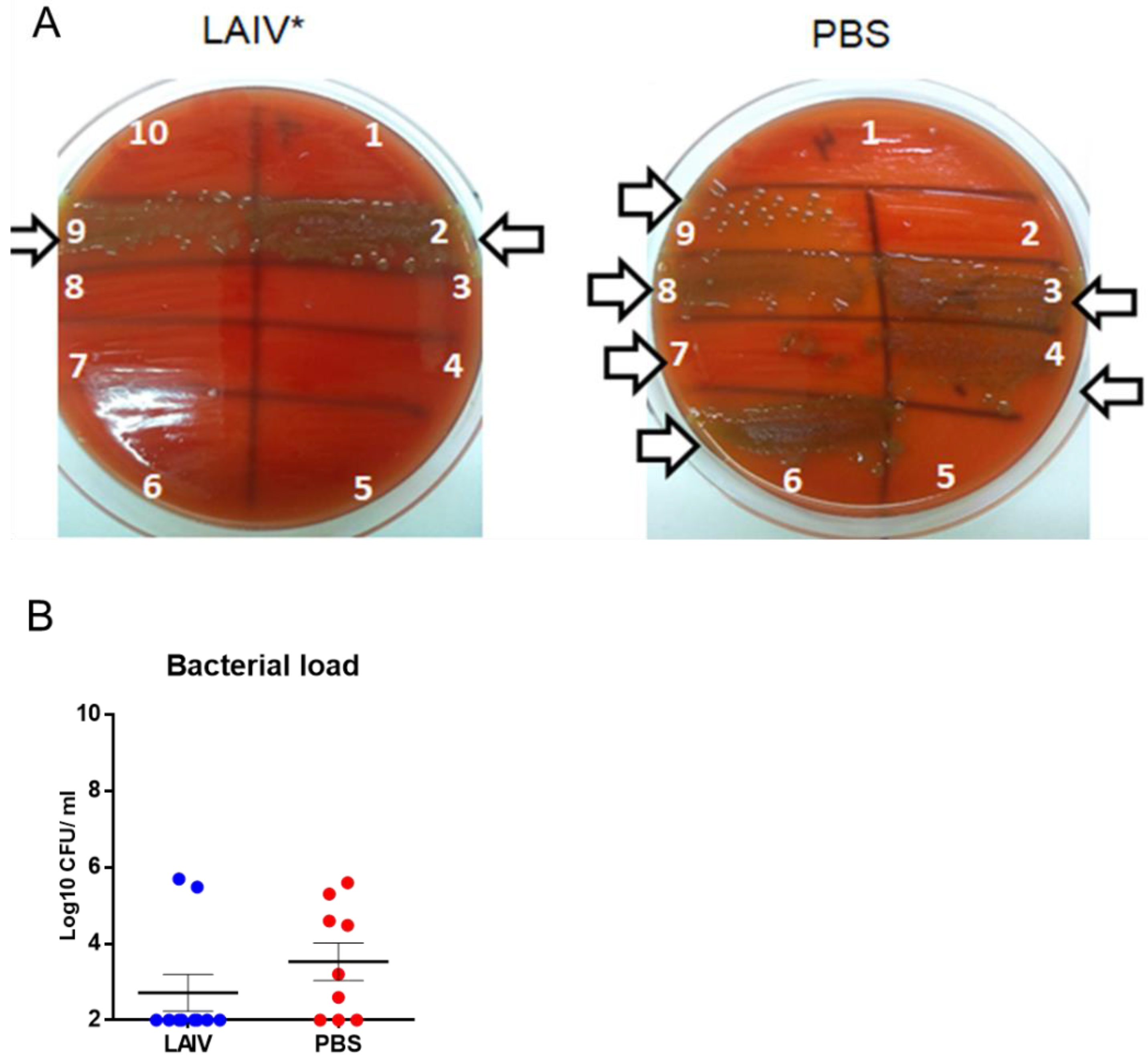 Microorganisms 10 01150 g007