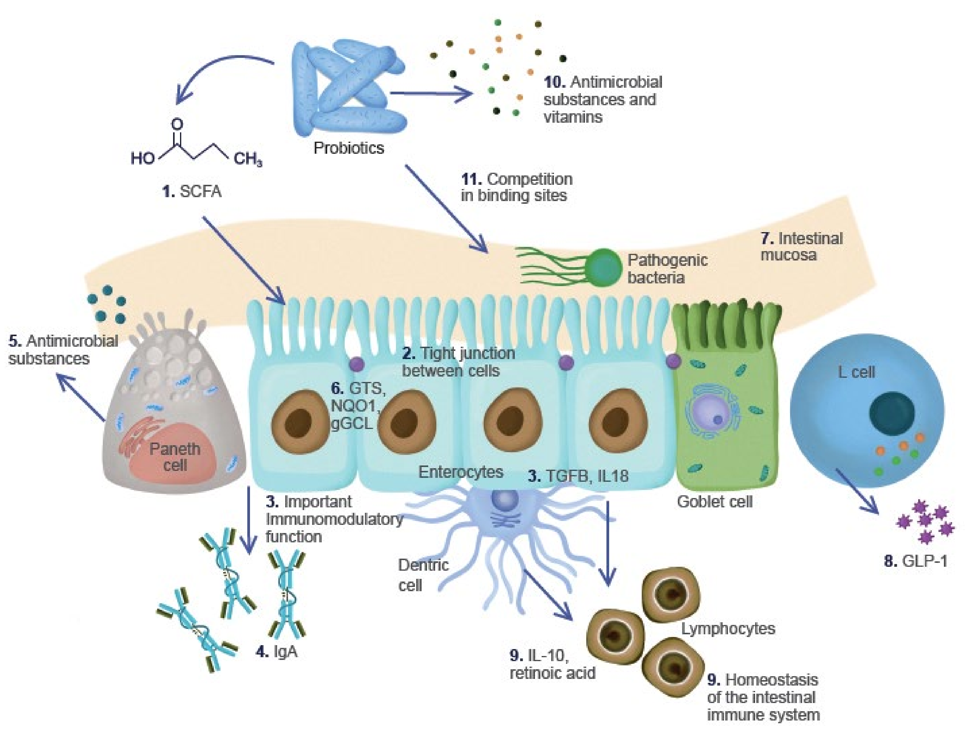 Microorganisms 10 01151 g001