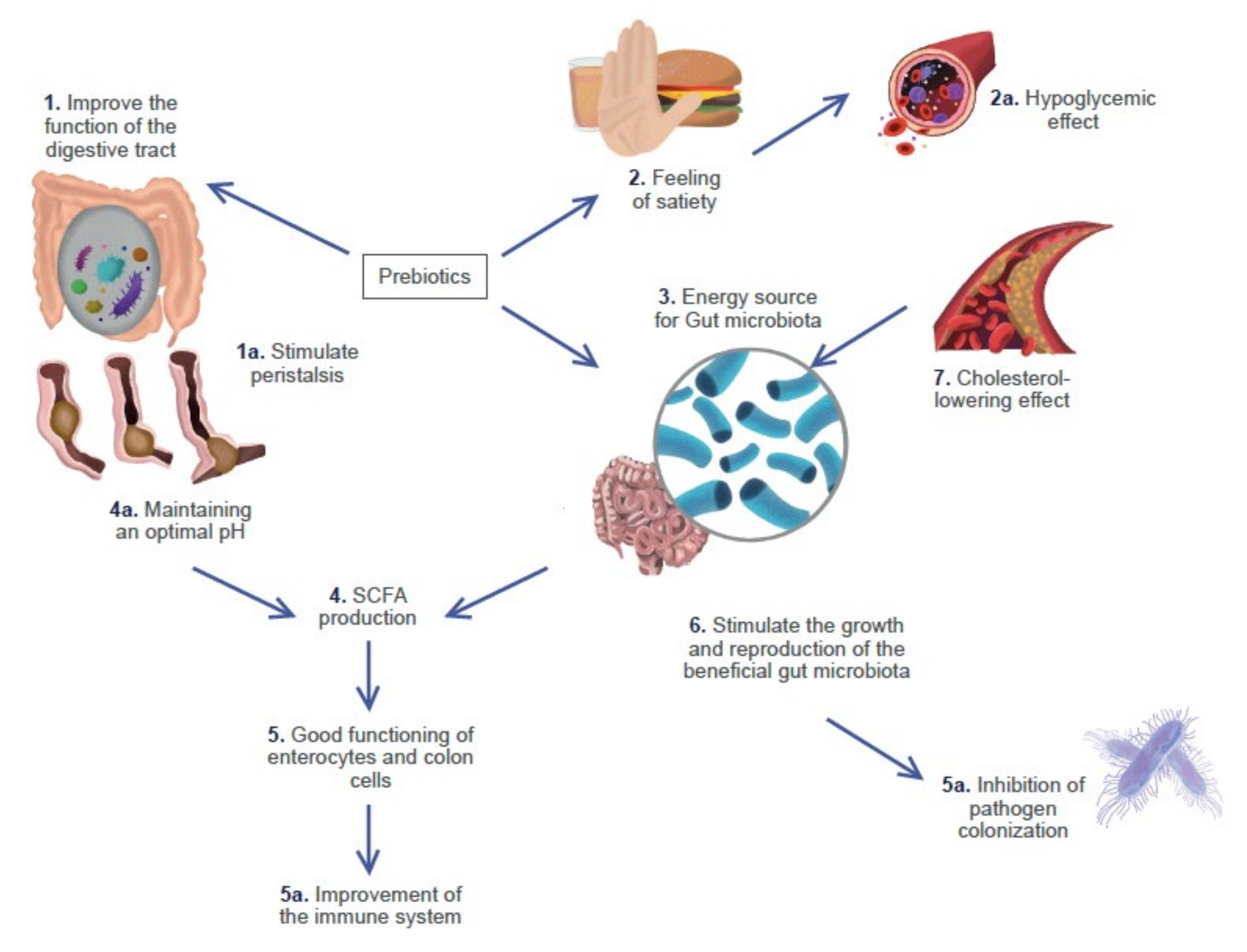 Microorganisms 10 01151 g002