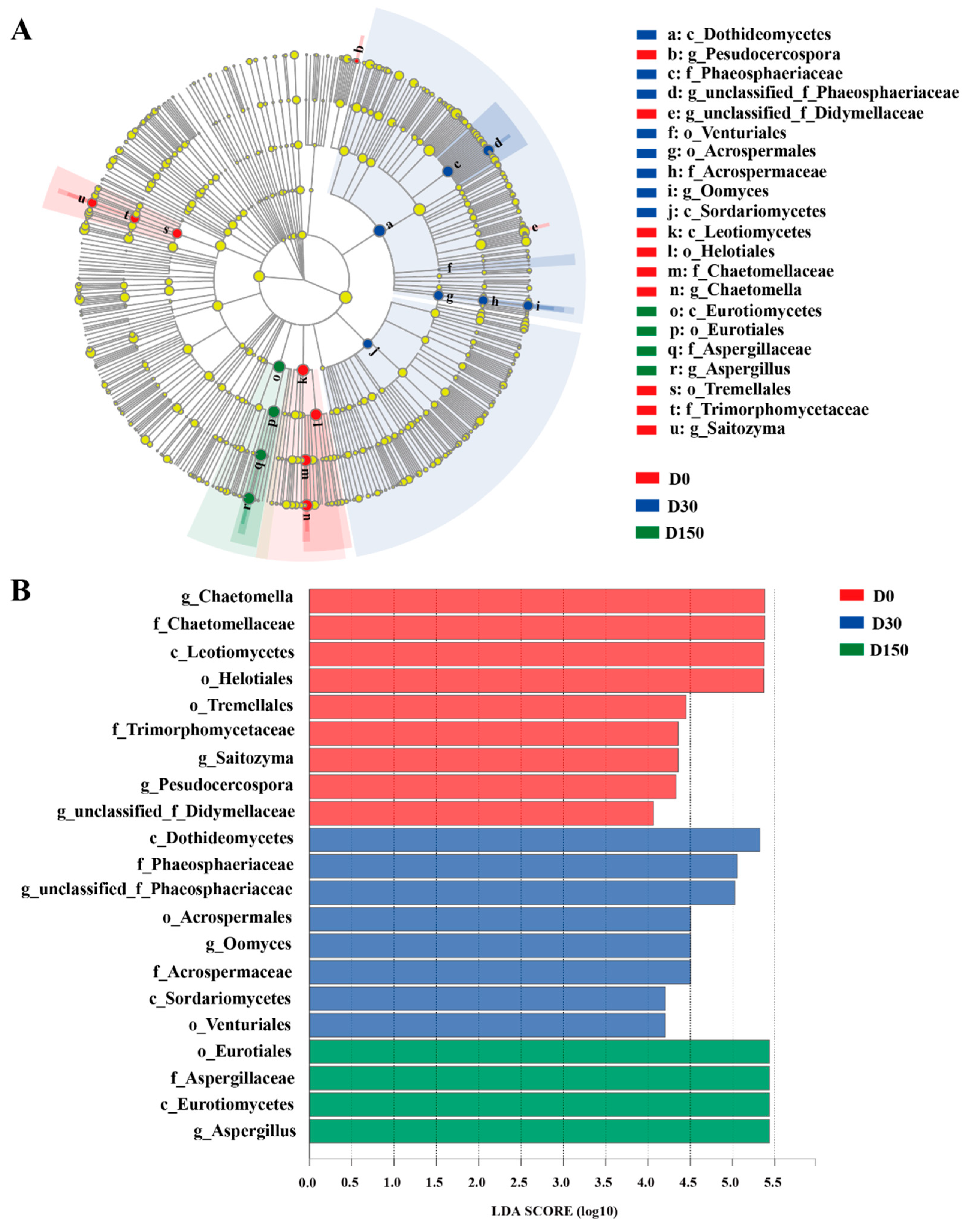 Microorganisms 10 01154 g004