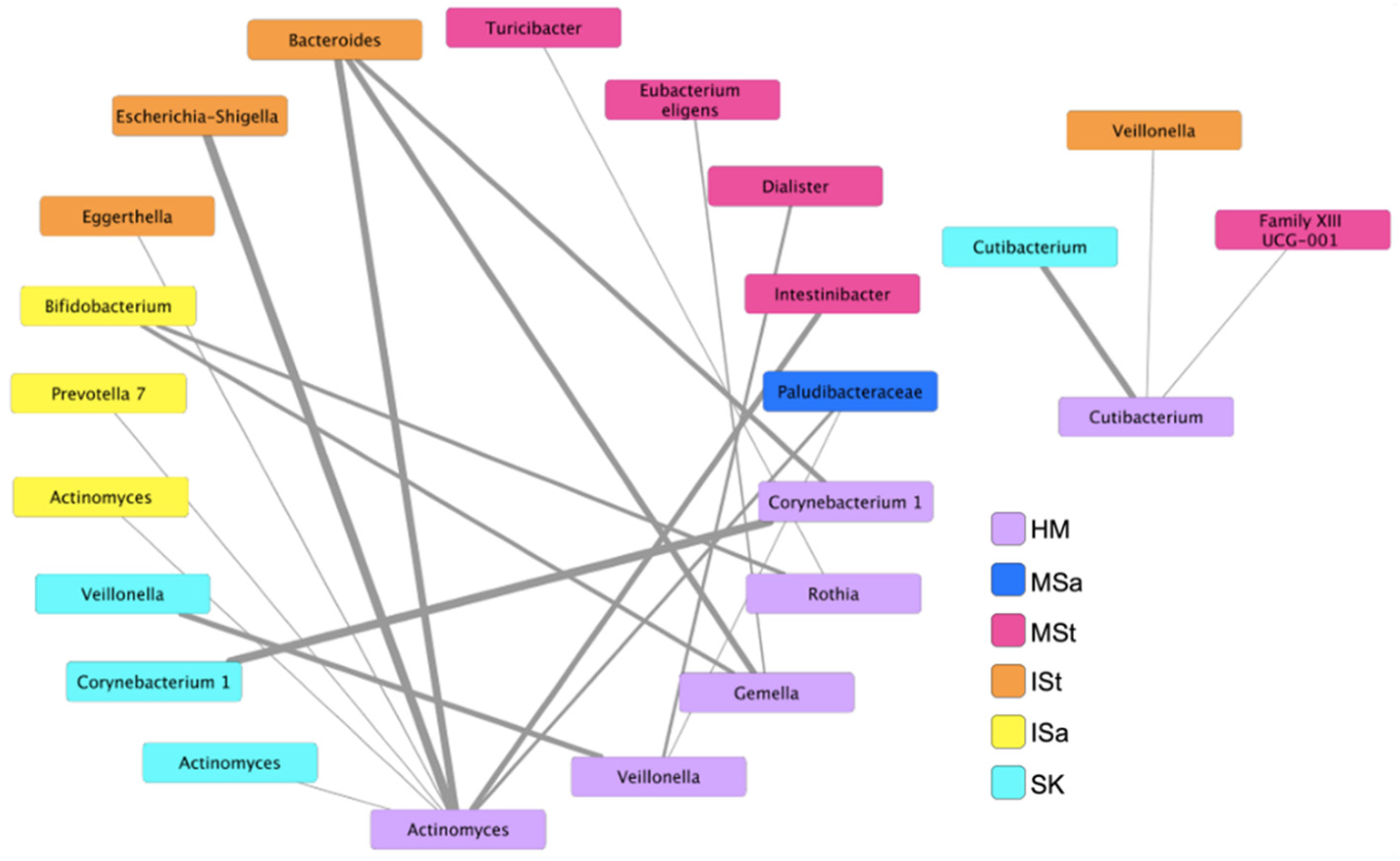 Microorganisms 10 01155 g004