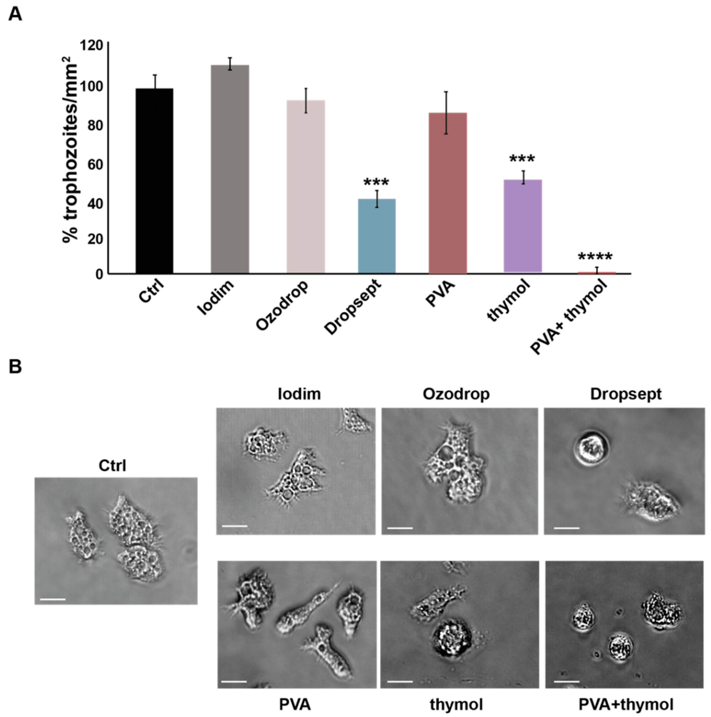 Microorganisms 10 01156 g002