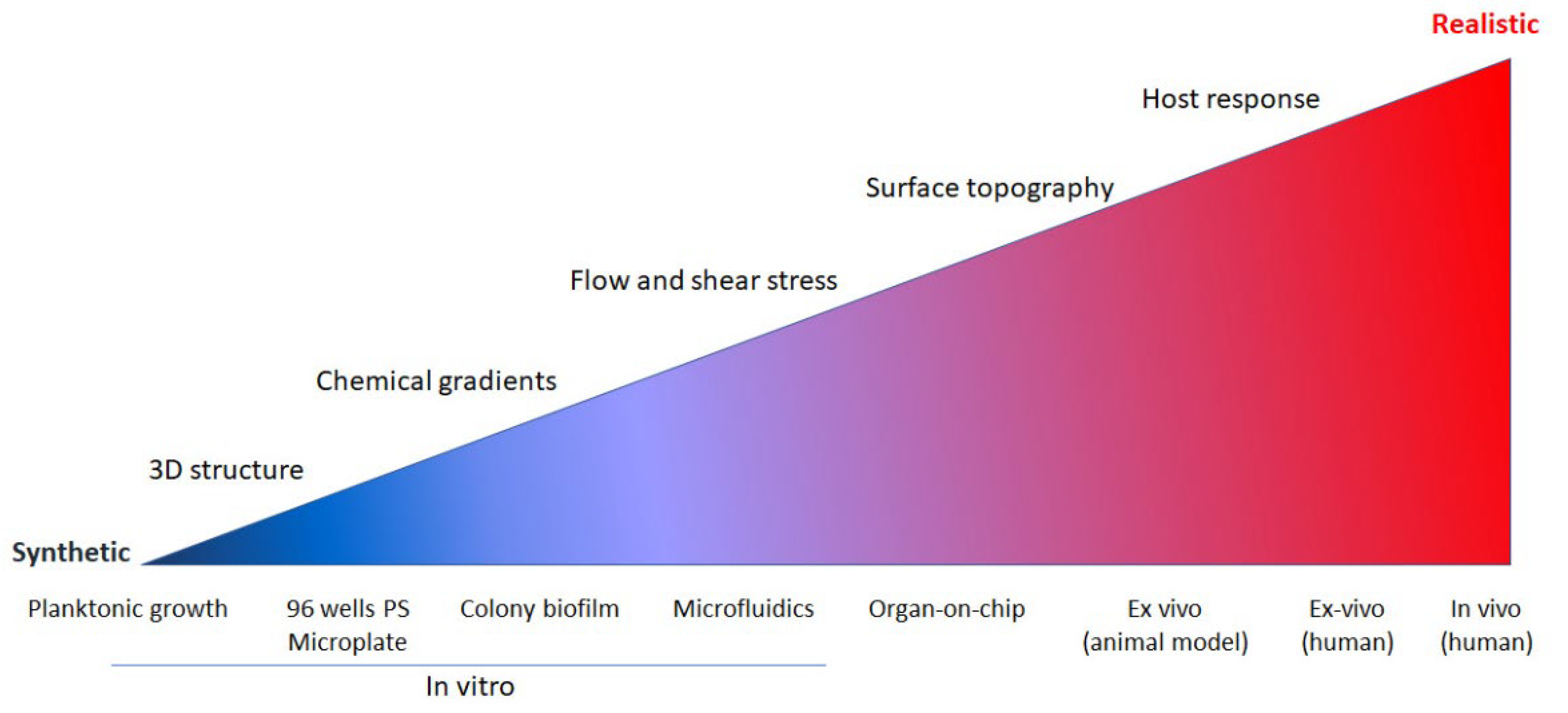 Microorganisms 10 01164 g001