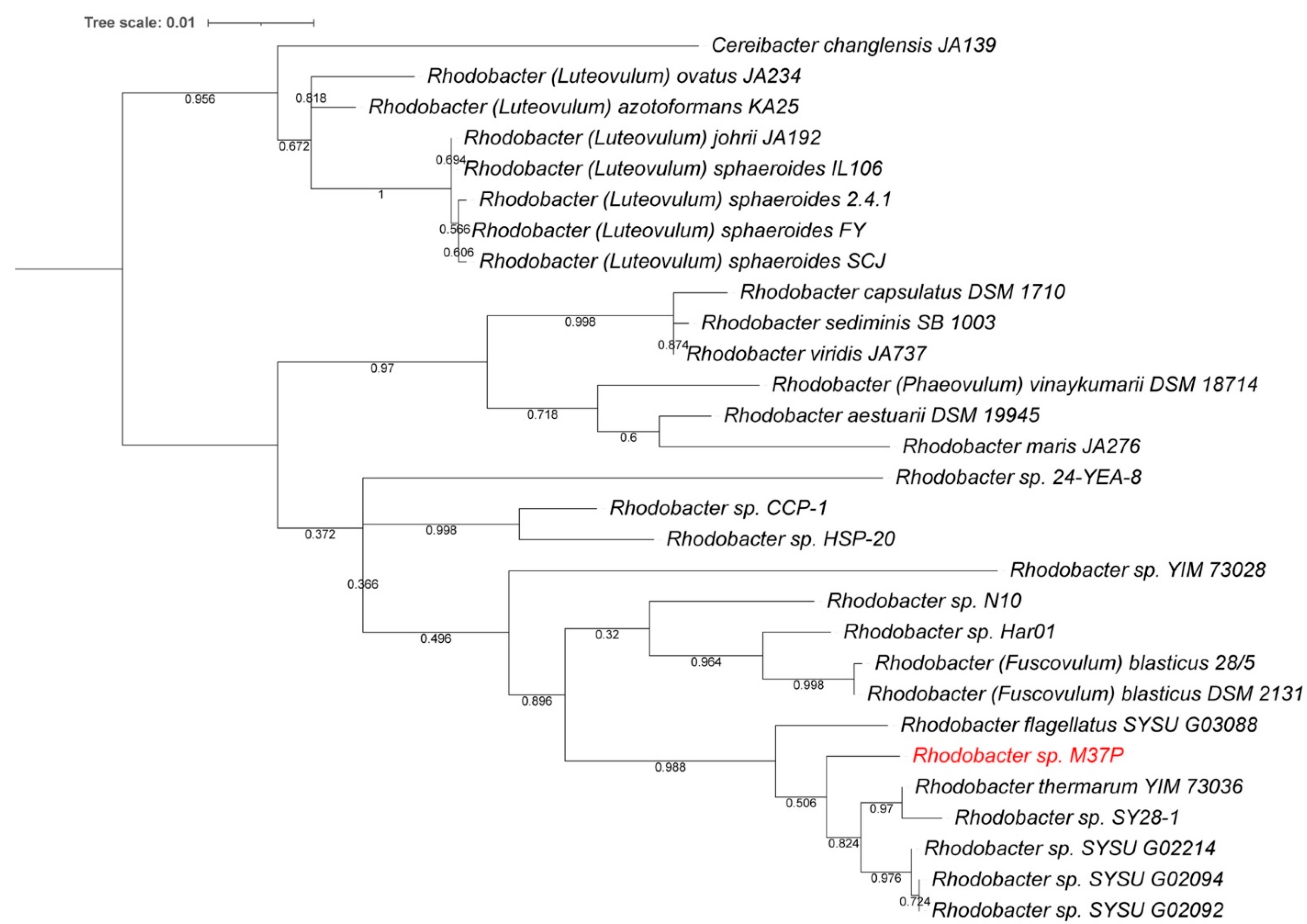 Microorganisms 10 01169 g001