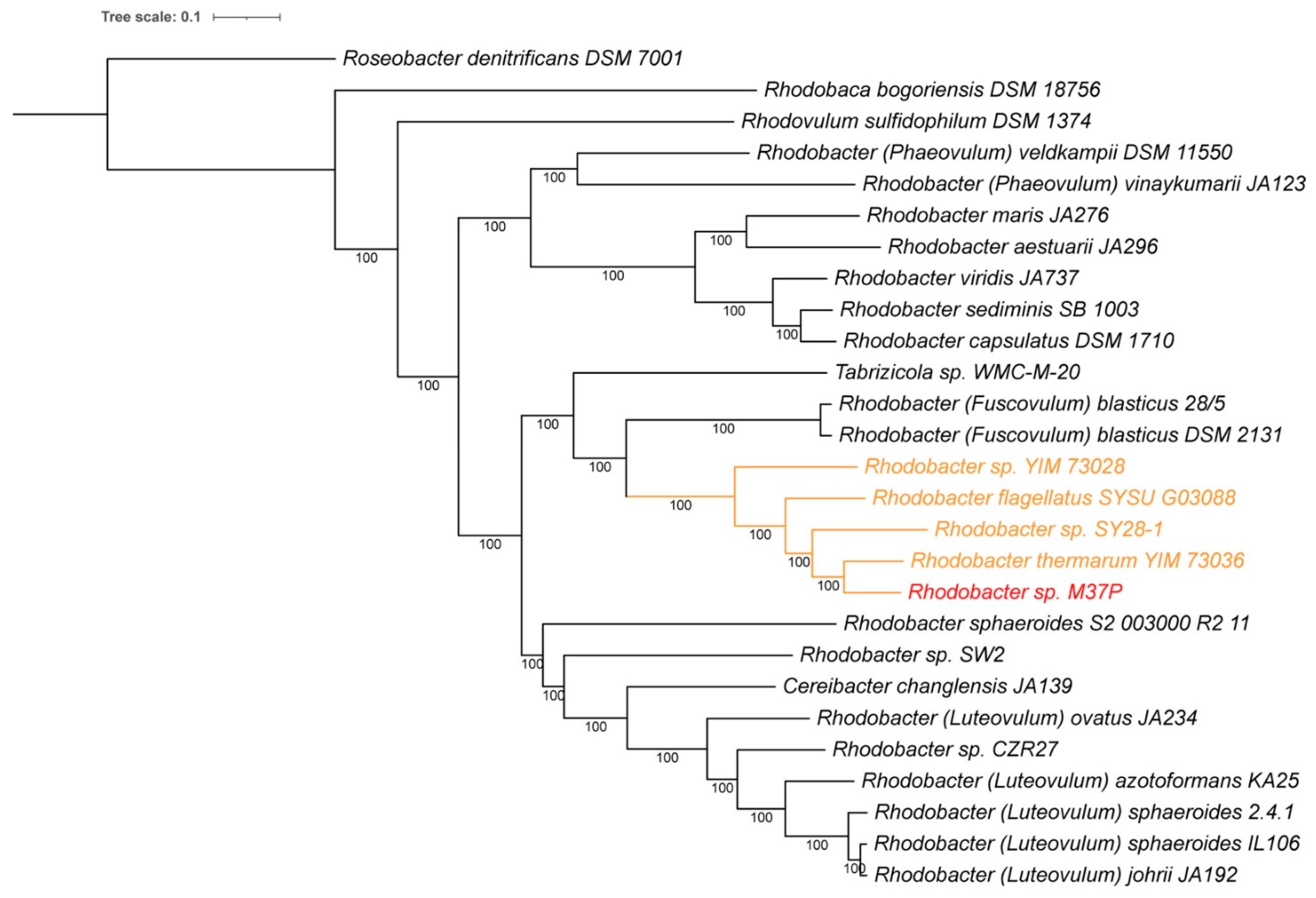 Microorganisms 10 01169 g002