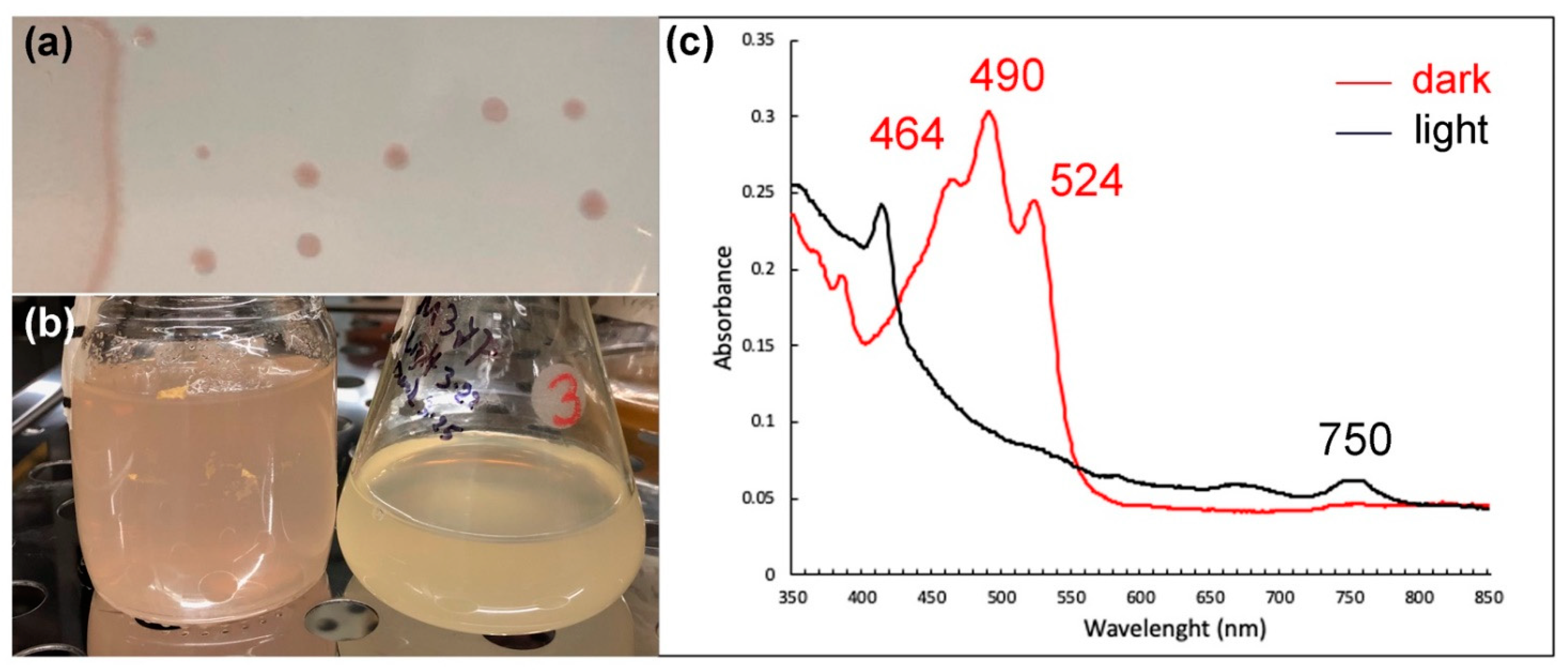 Microorganisms 10 01169 g004
