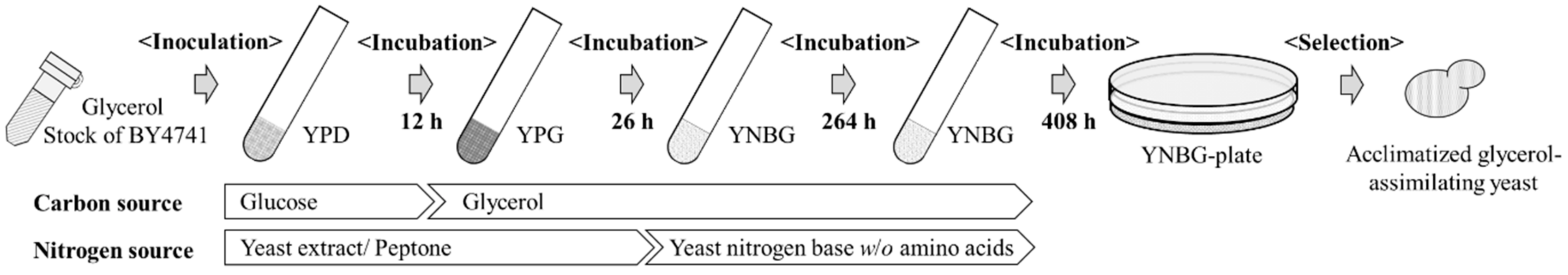 Microorganisms 10 01173 g001