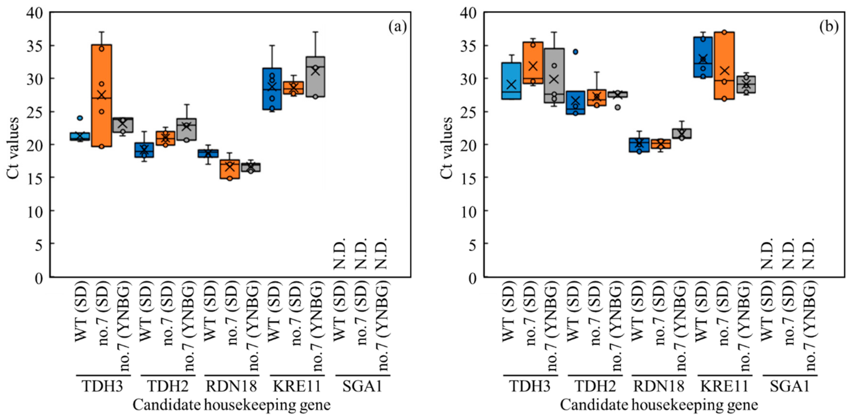 Microorganisms 10 01173 g004