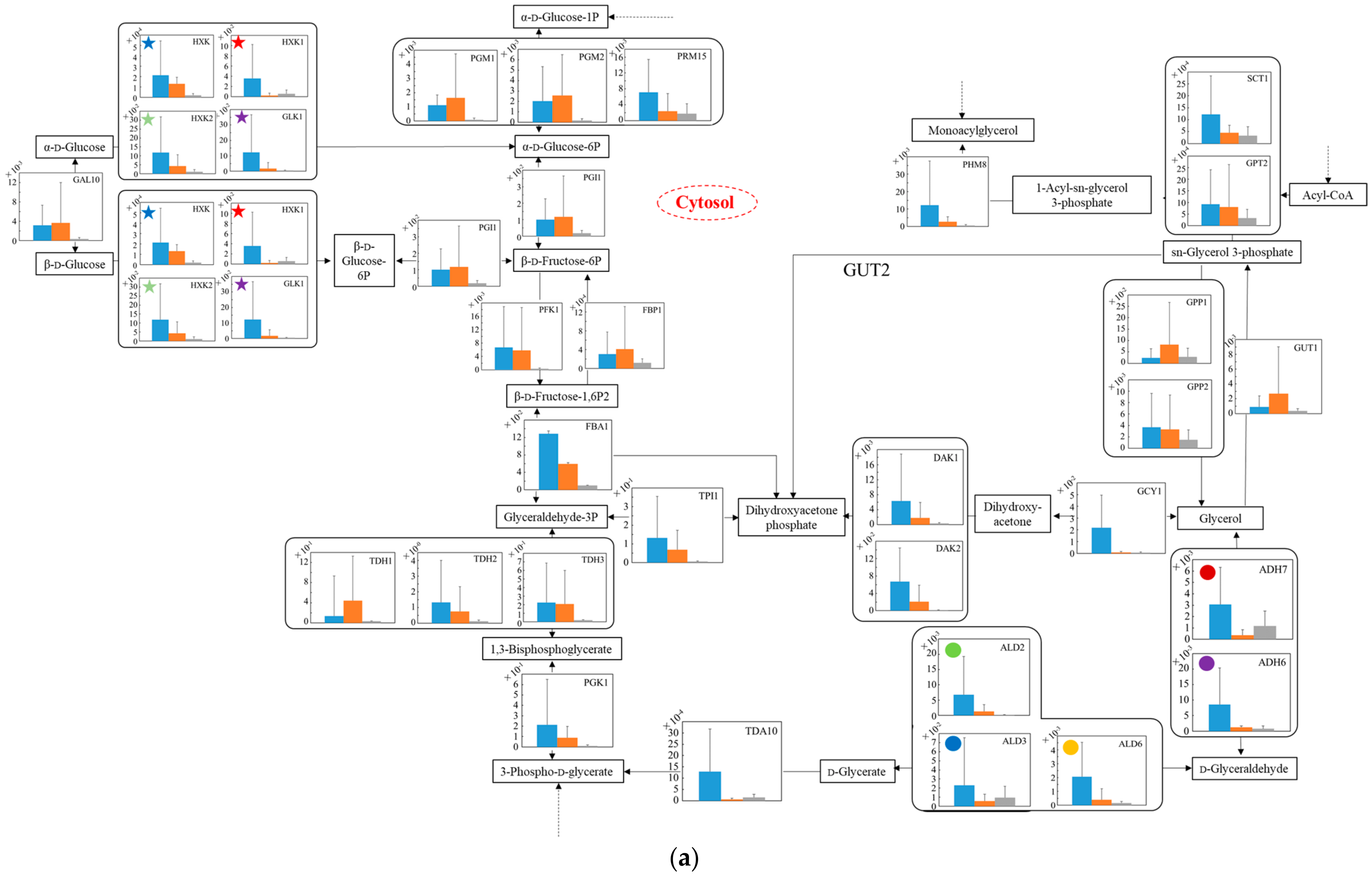Microorganisms 10 01173 g005a