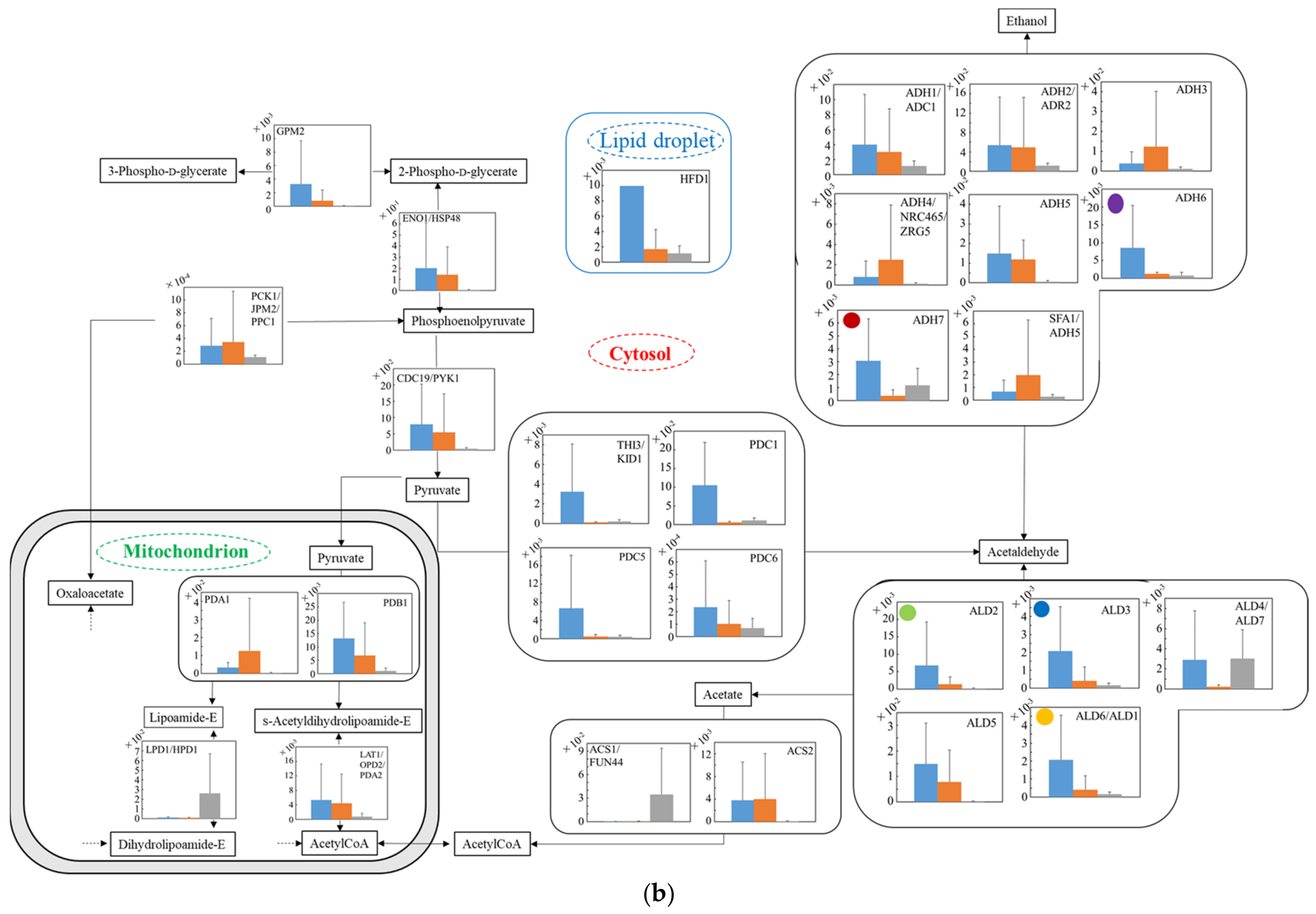 Microorganisms 10 01173 g005b