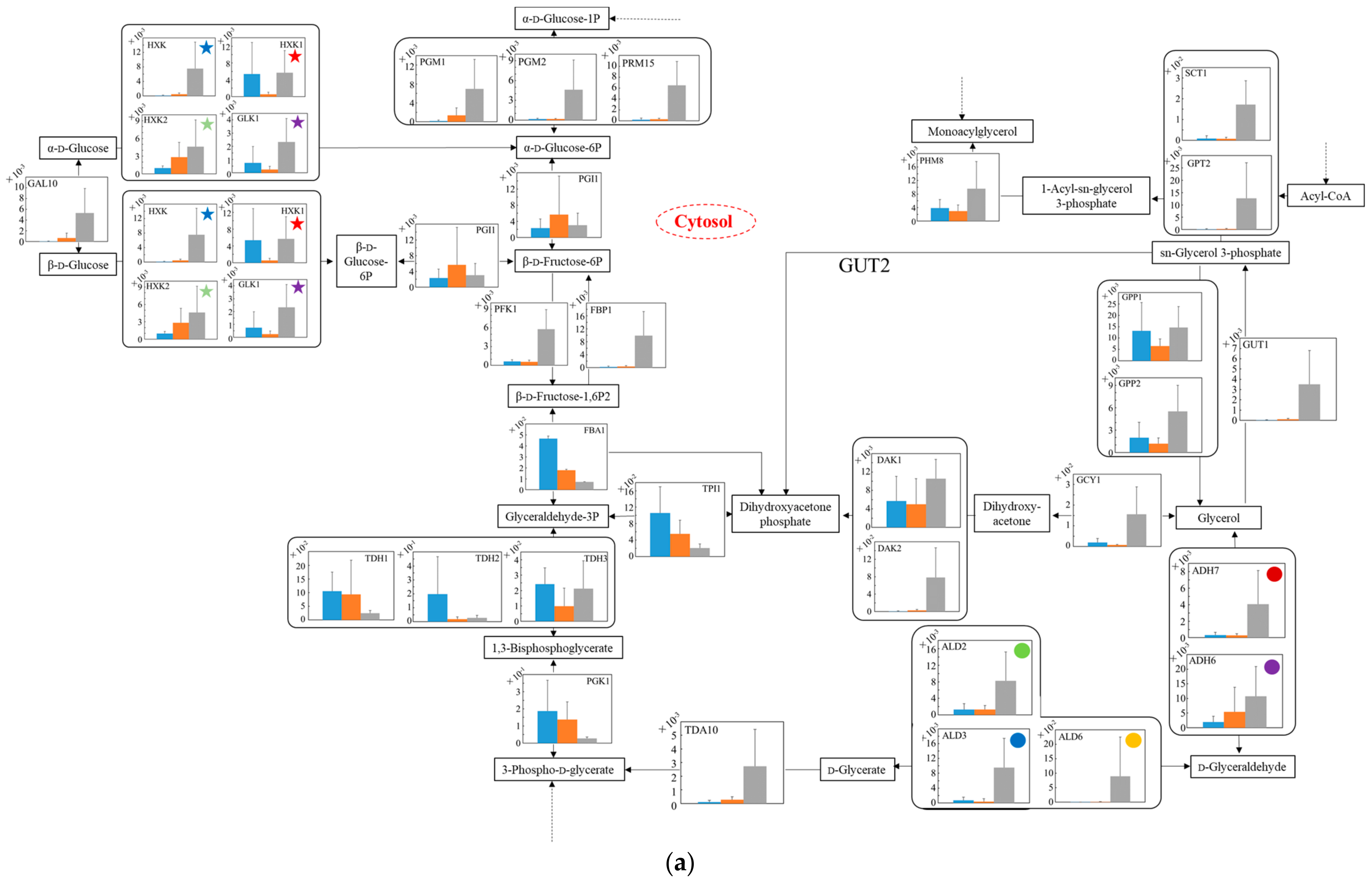 Microorganisms 10 01173 g006a