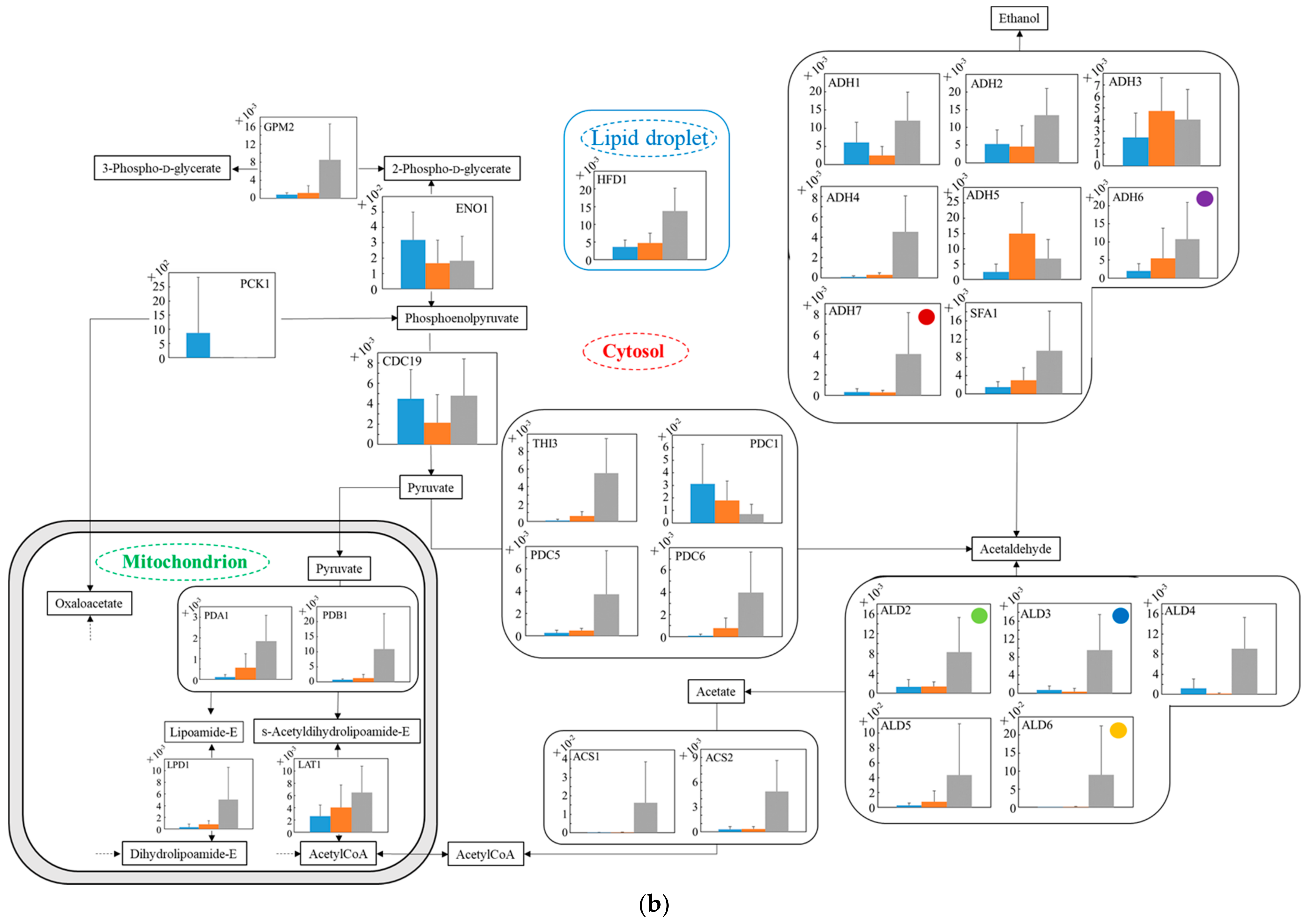 Microorganisms 10 01173 g006b