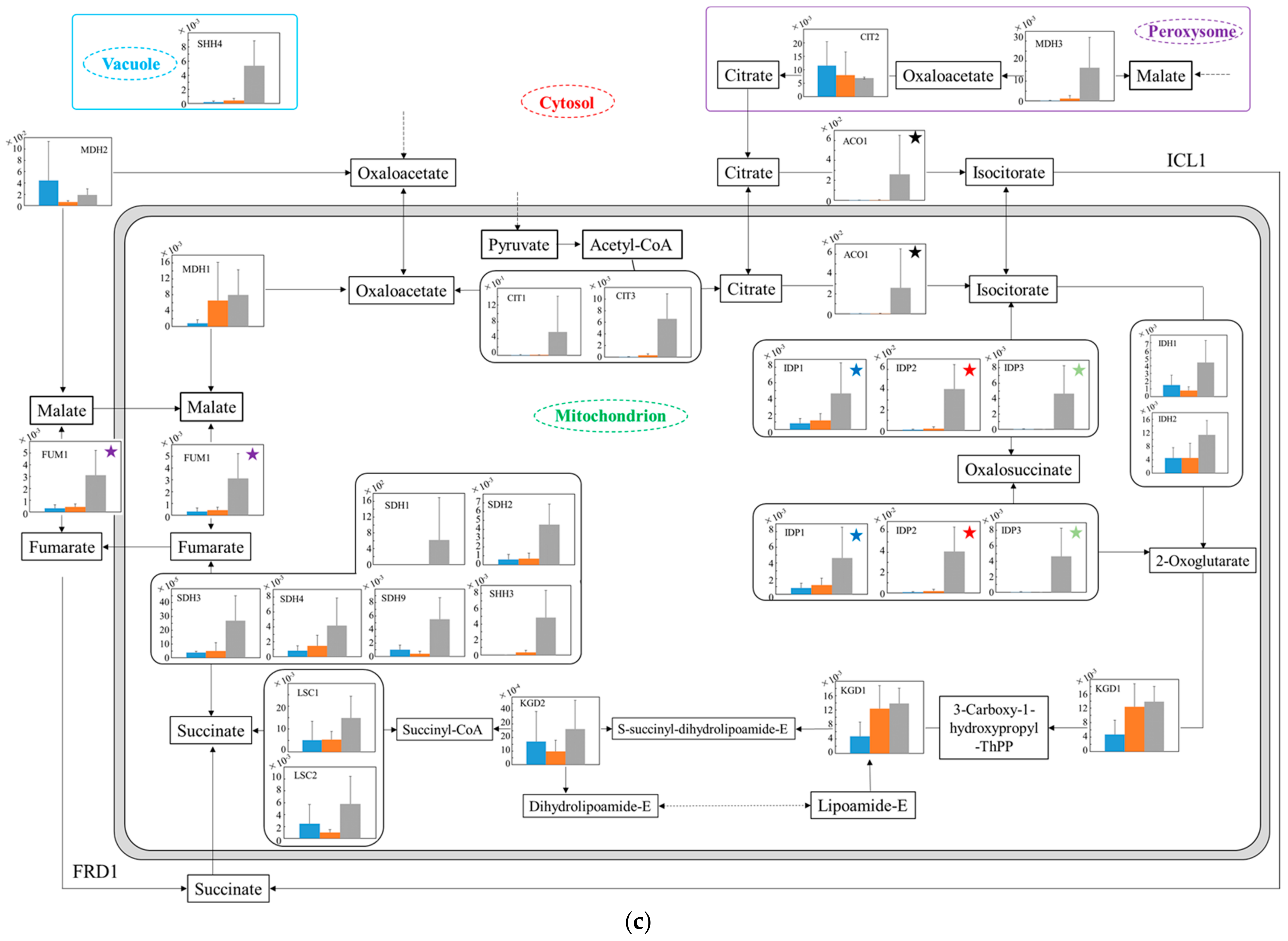 Microorganisms 10 01173 g006c