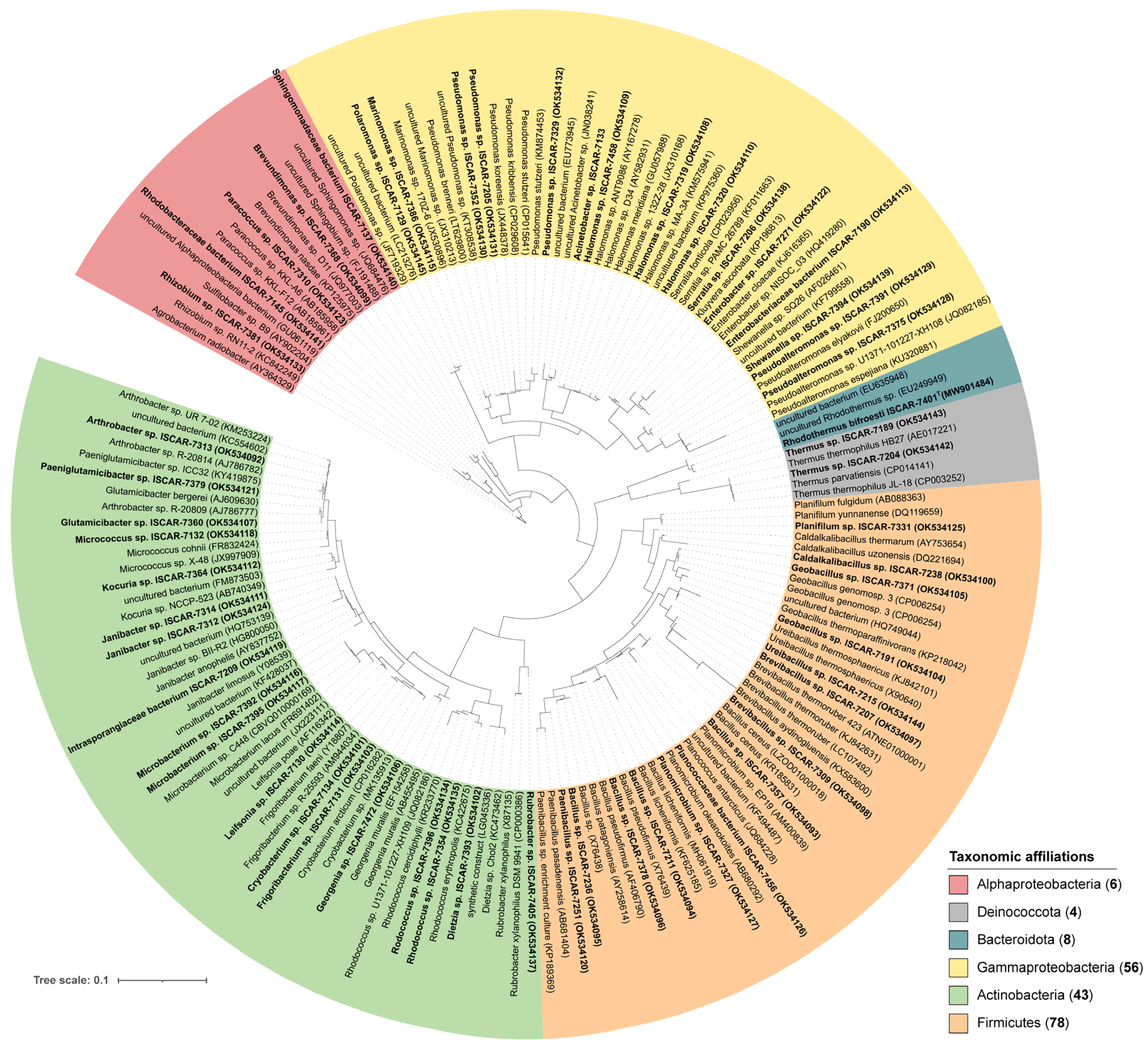 Microorganisms 10 01177 g002