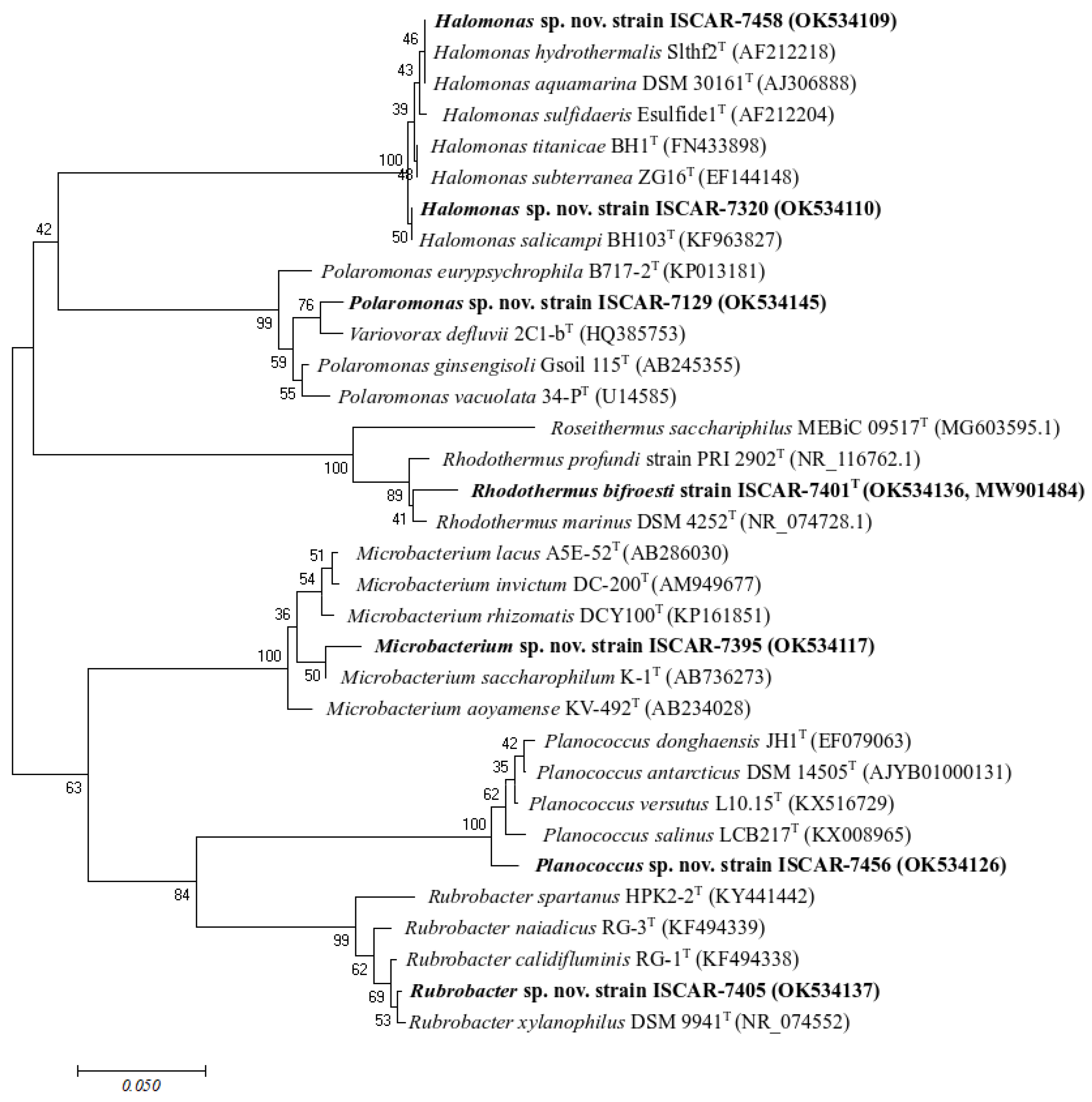 Microorganisms 10 01177 g003