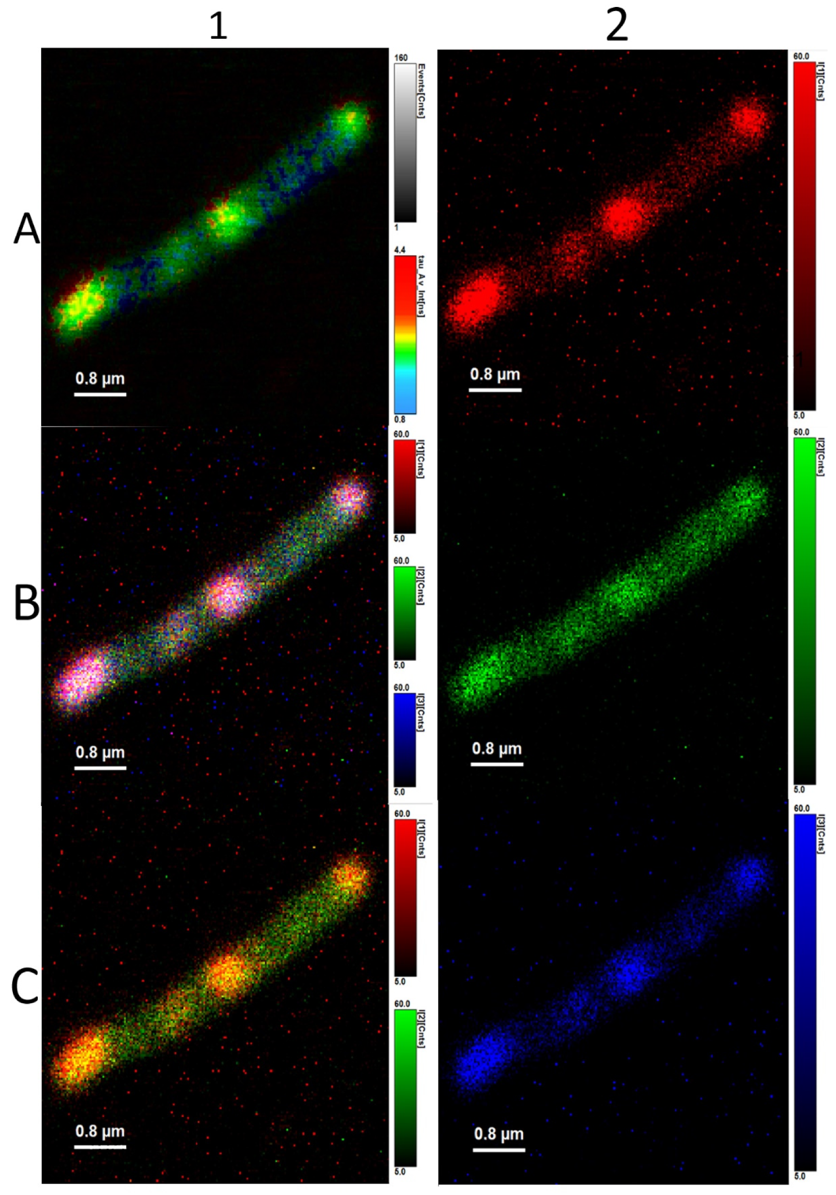 Microorganisms 10 01179 g008