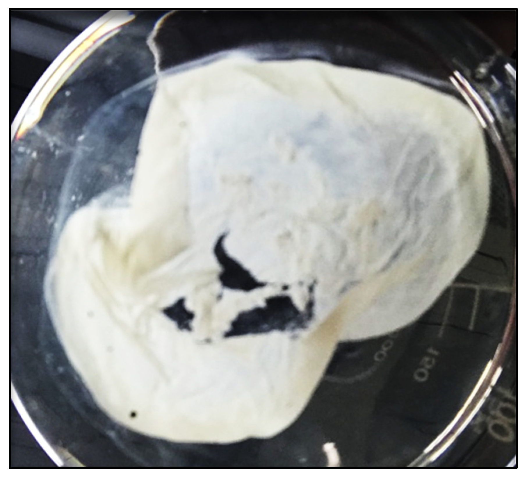 Microorganisms 10 01187 g001