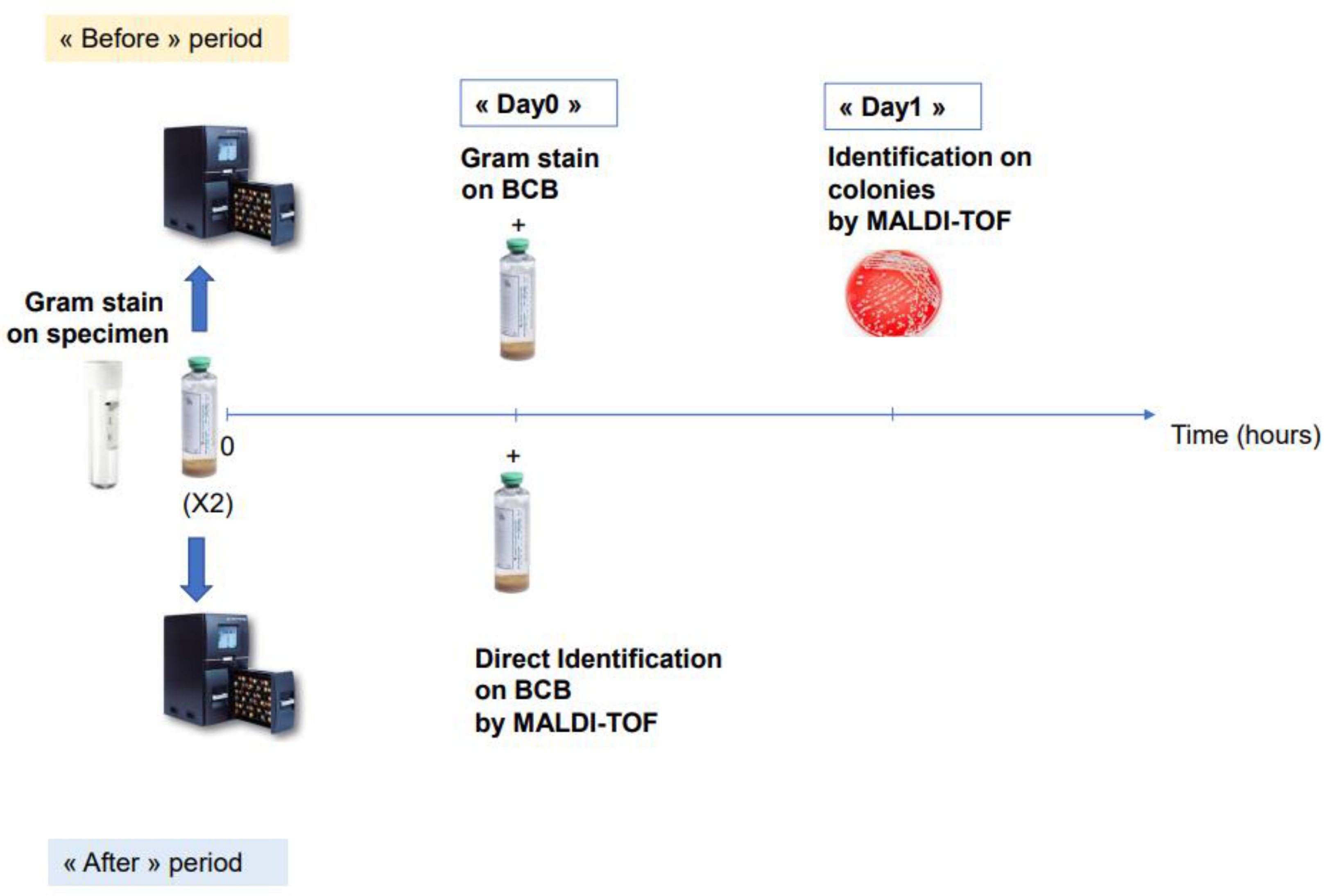 Microorganisms 10 01188 g001