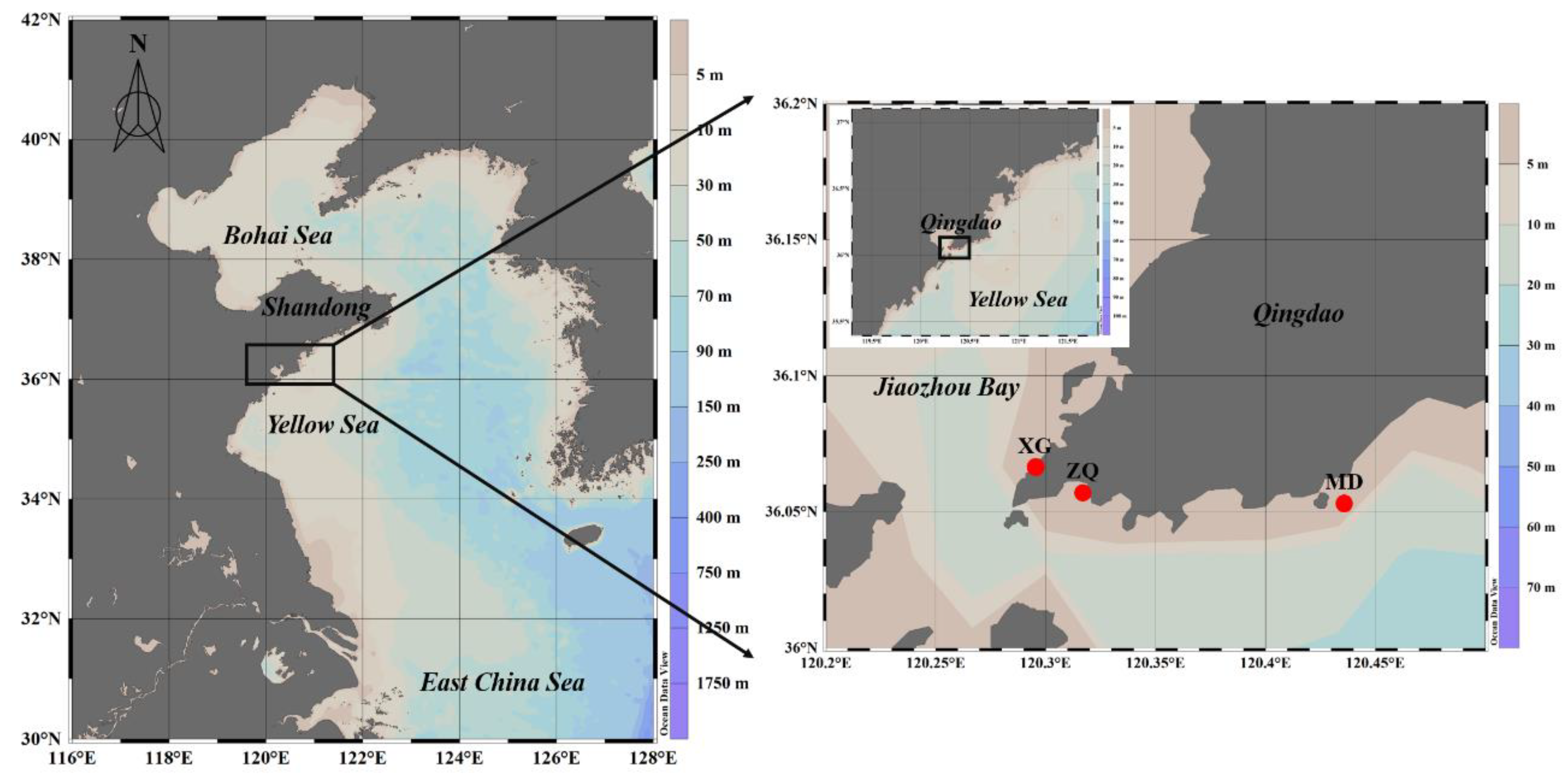 Microorganisms 10 01204 g001