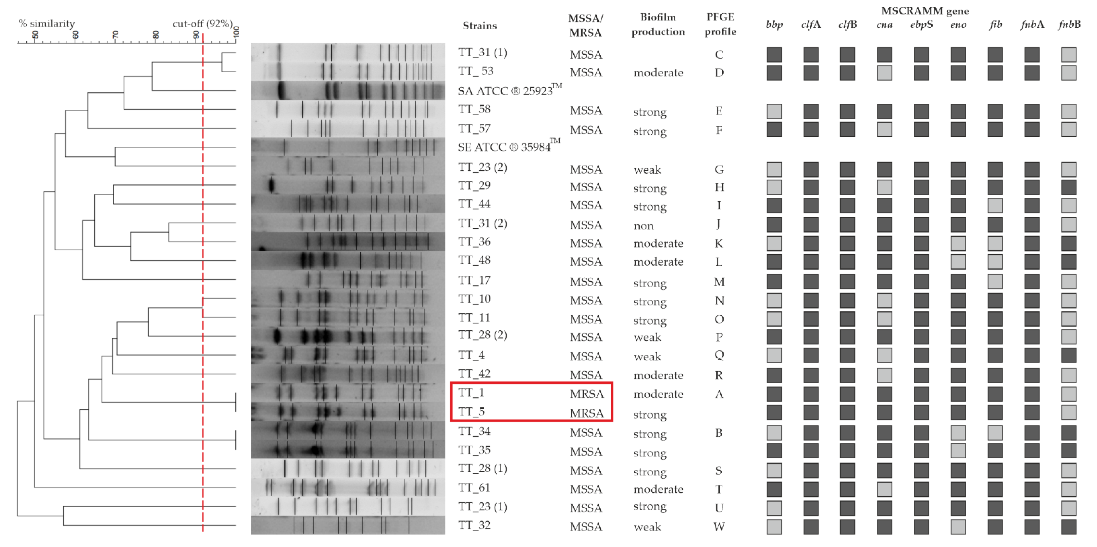Microorganisms 10 01210 g002