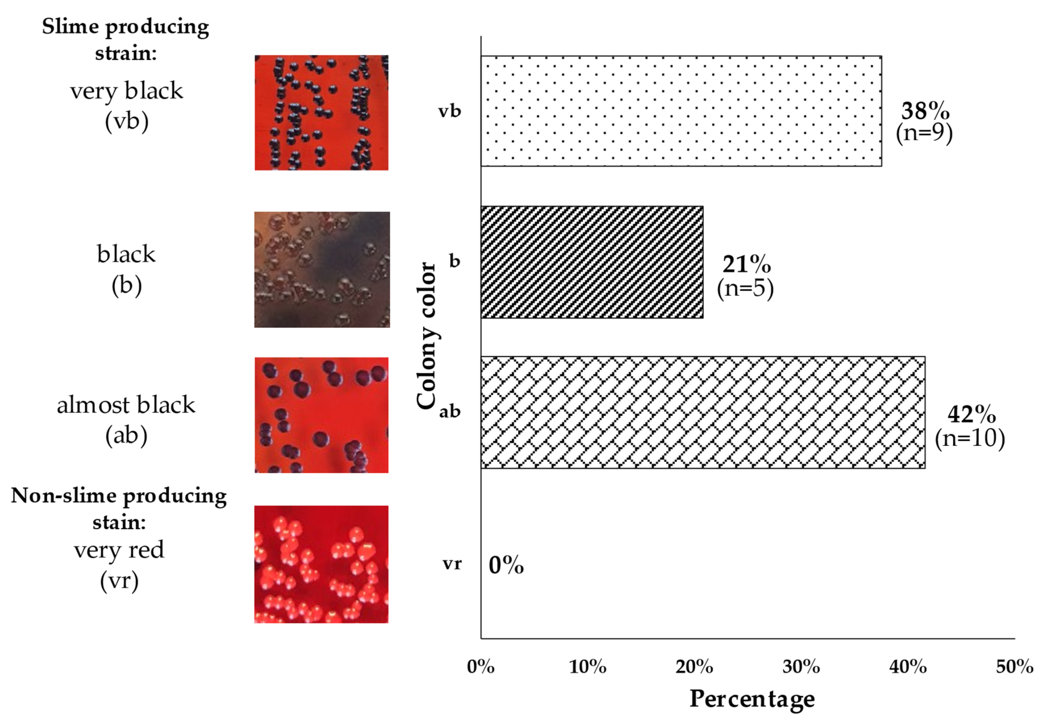 Microorganisms 10 01210 g004