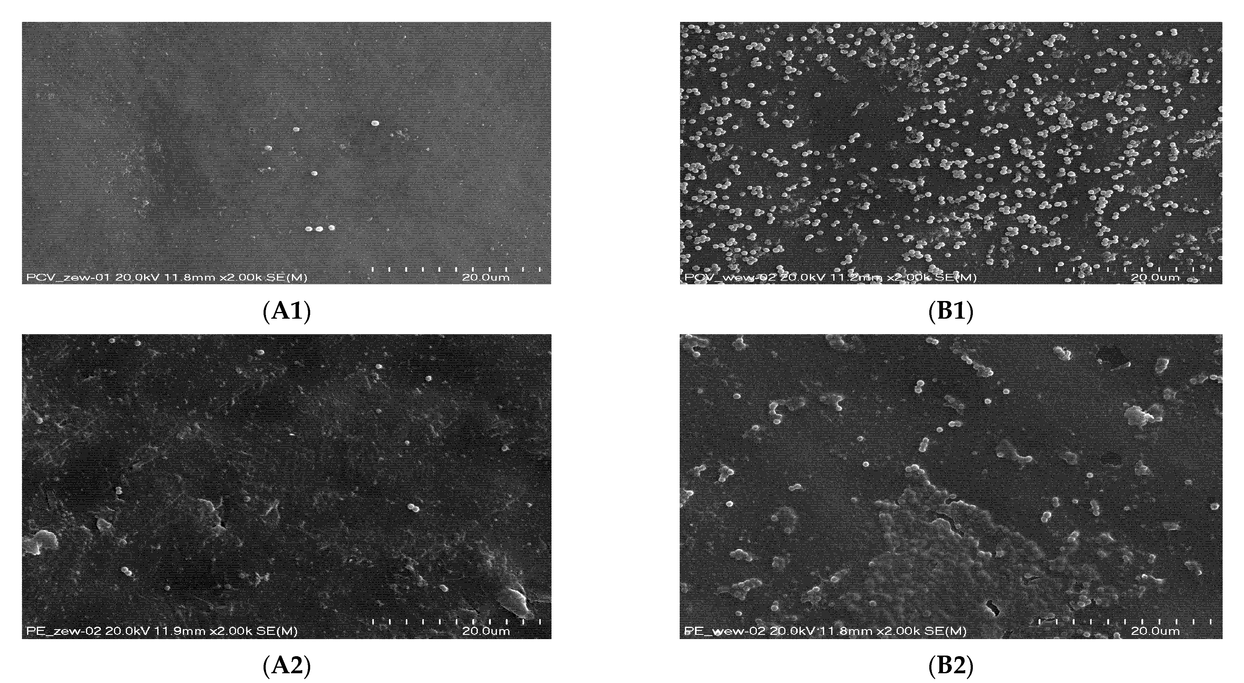 Microorganisms 10 01210 g007