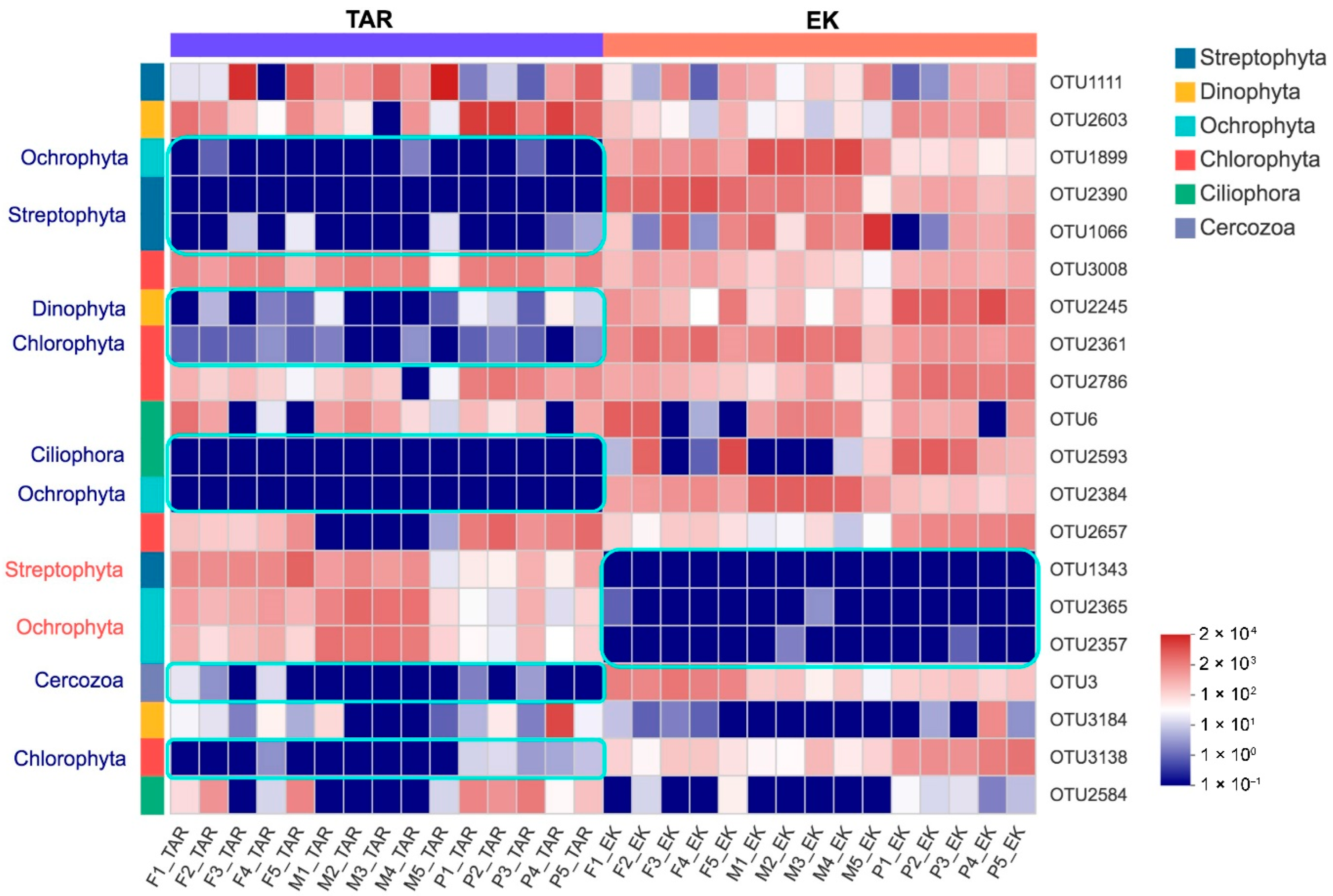 Microorganisms 10 01213 g006