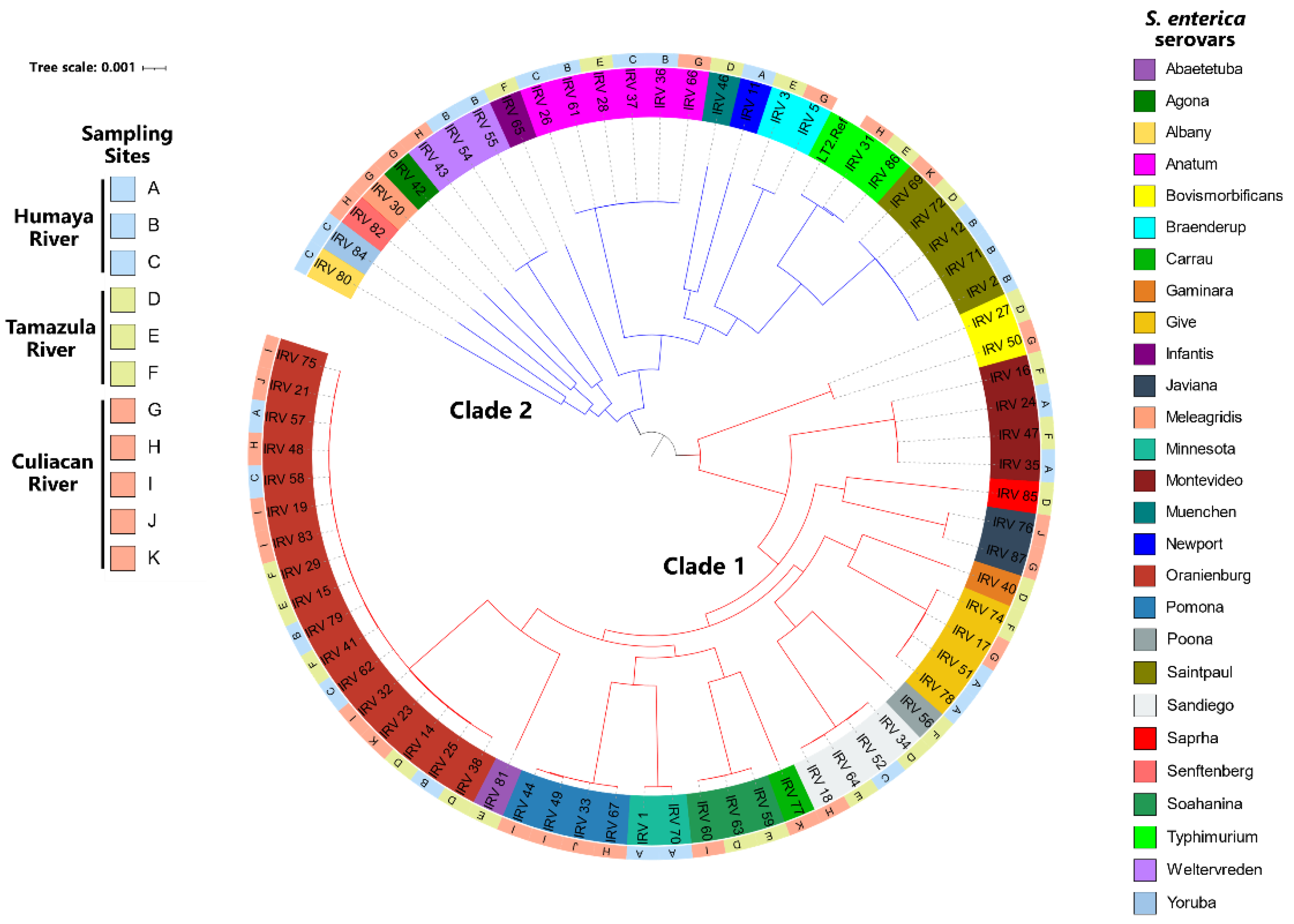 Microorganisms 10 01214 g003