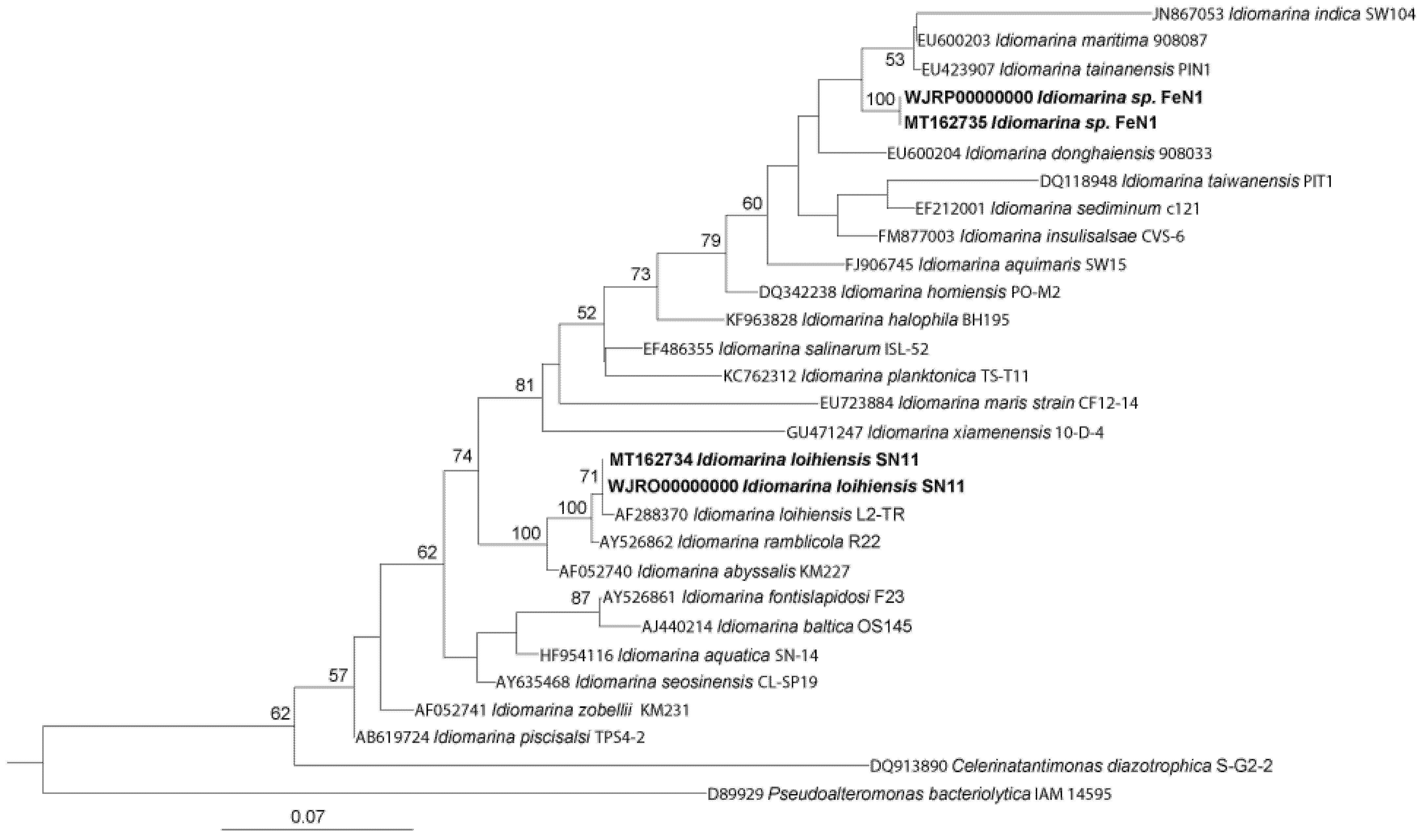 Microorganisms 10 01219 g001