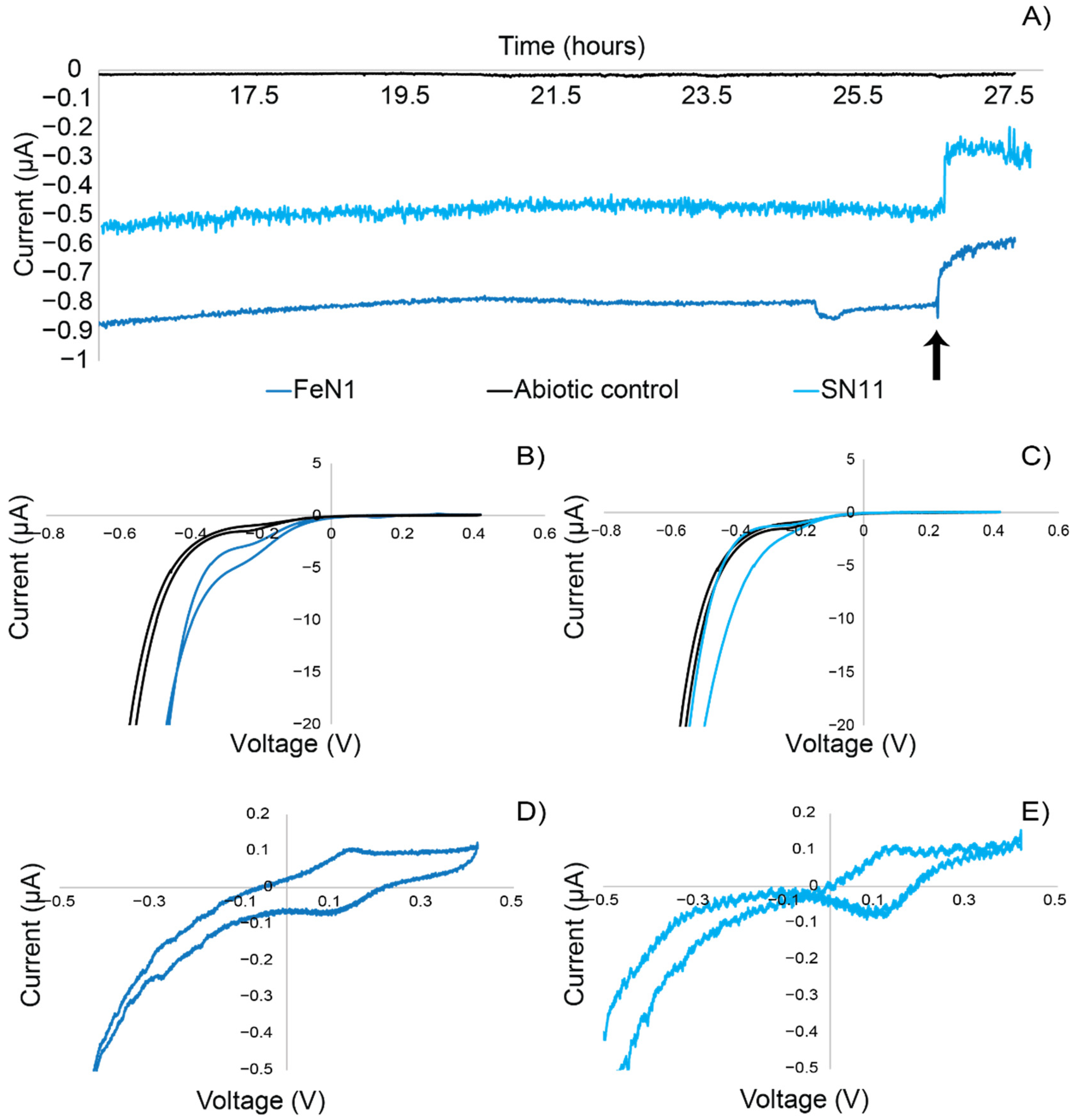 Microorganisms 10 01219 g002