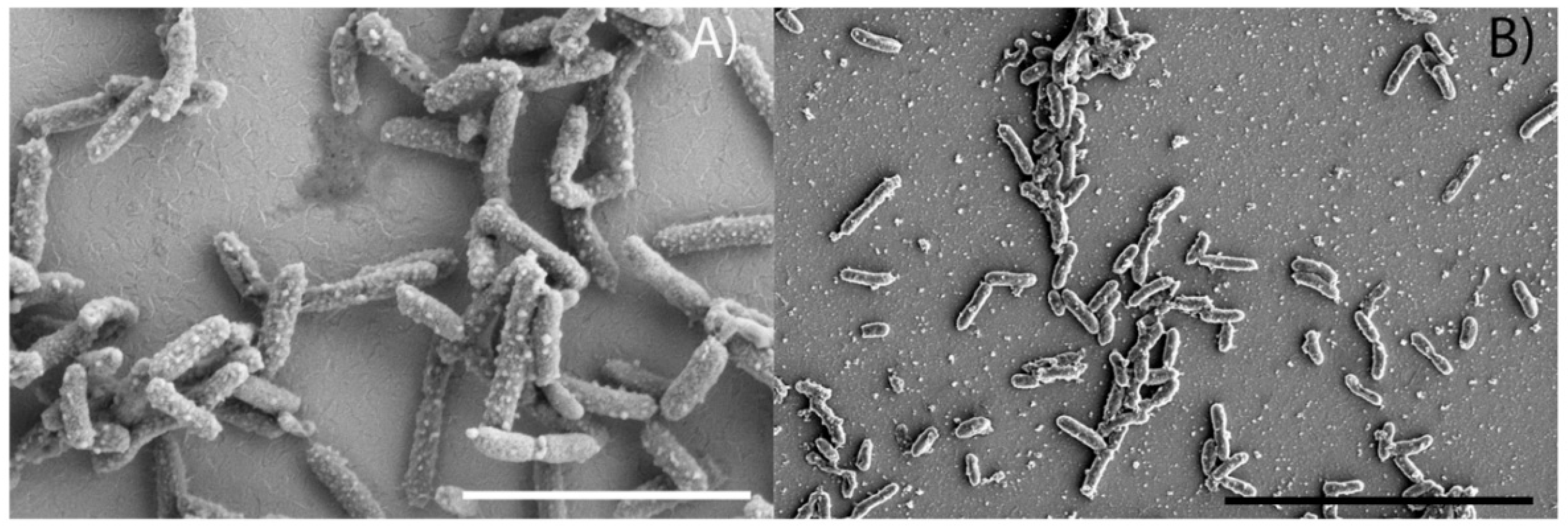 Microorganisms 10 01219 g003