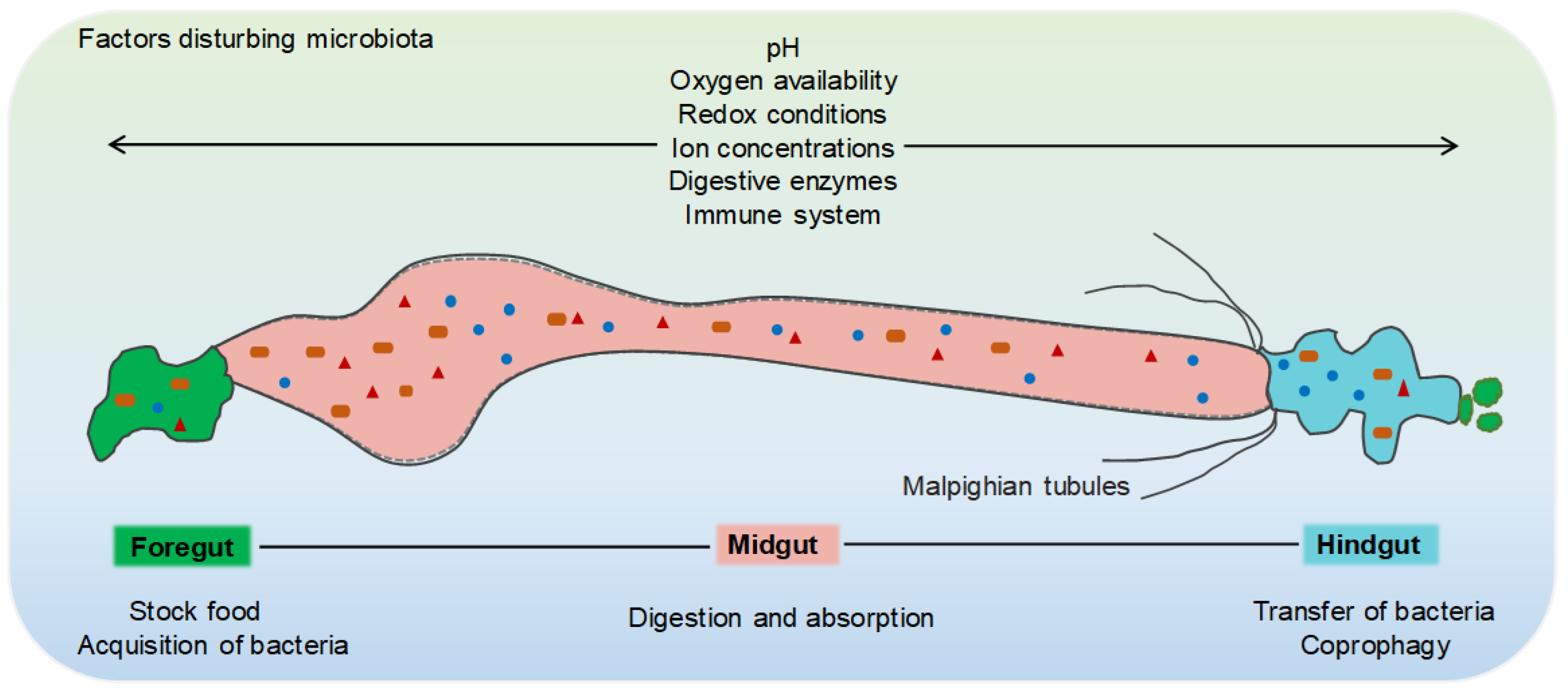 Microorganisms 10 01234 g001 Microorganisms 10 01234 g001