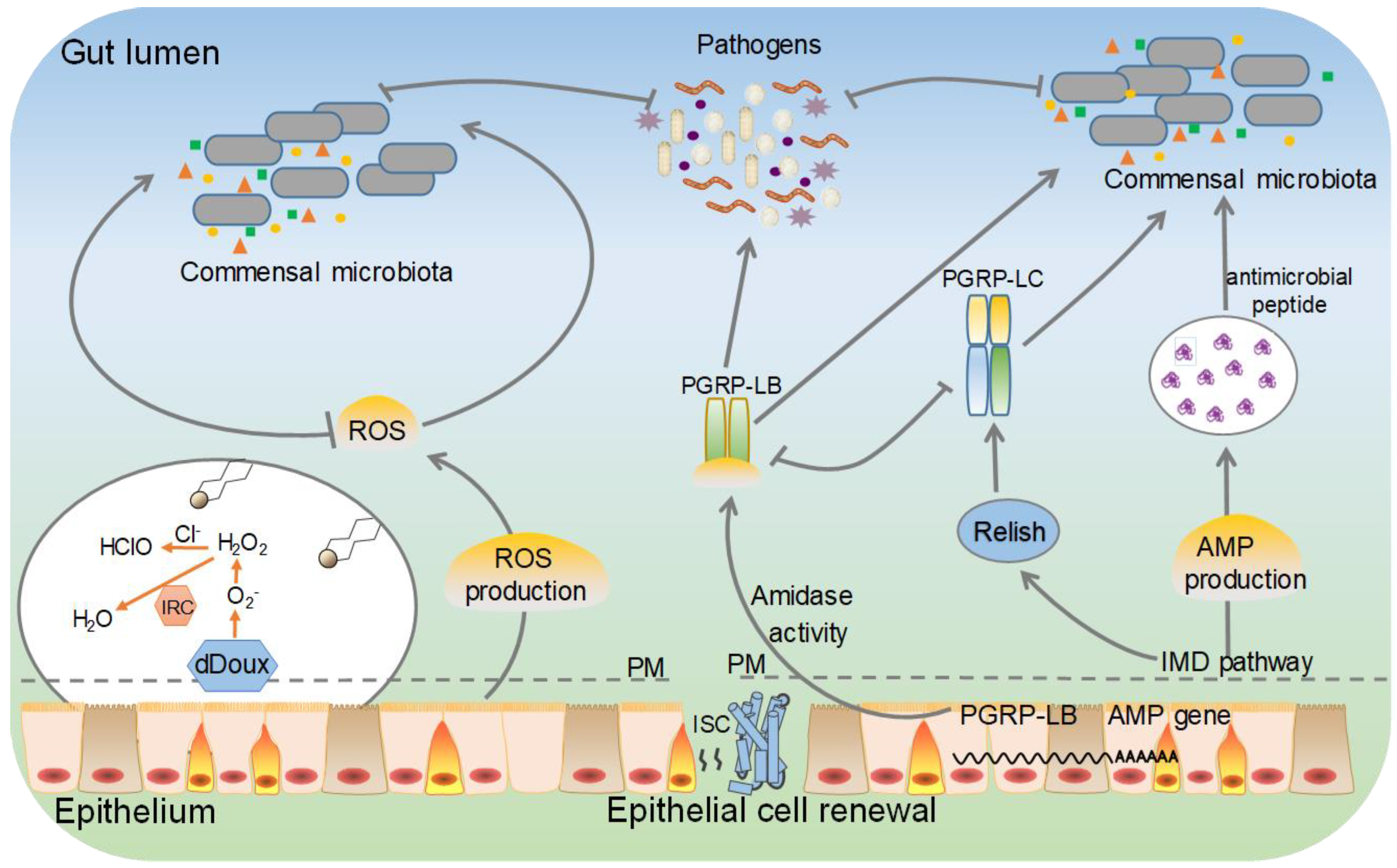 Microorganisms 10 01234 g002 Microorganisms 10 01234 g002