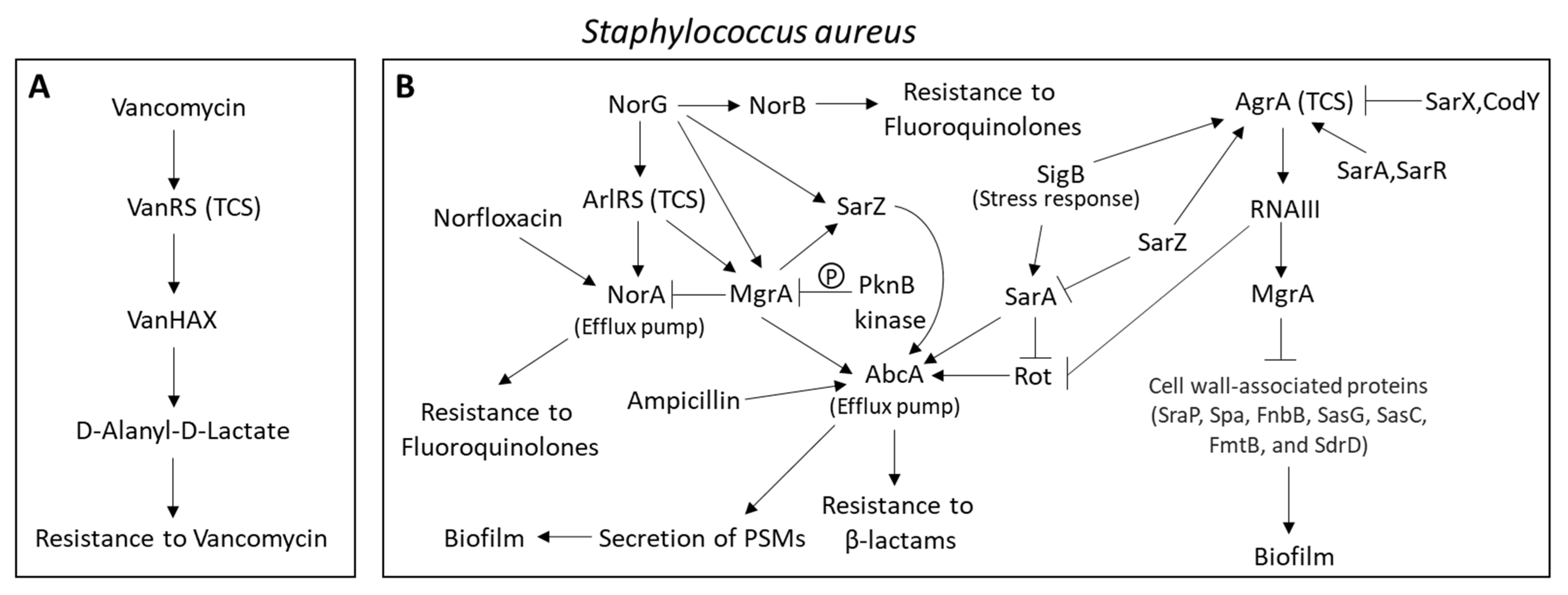Microorganisms 10 01239 g001 Microorganisms 10 01239 g001
