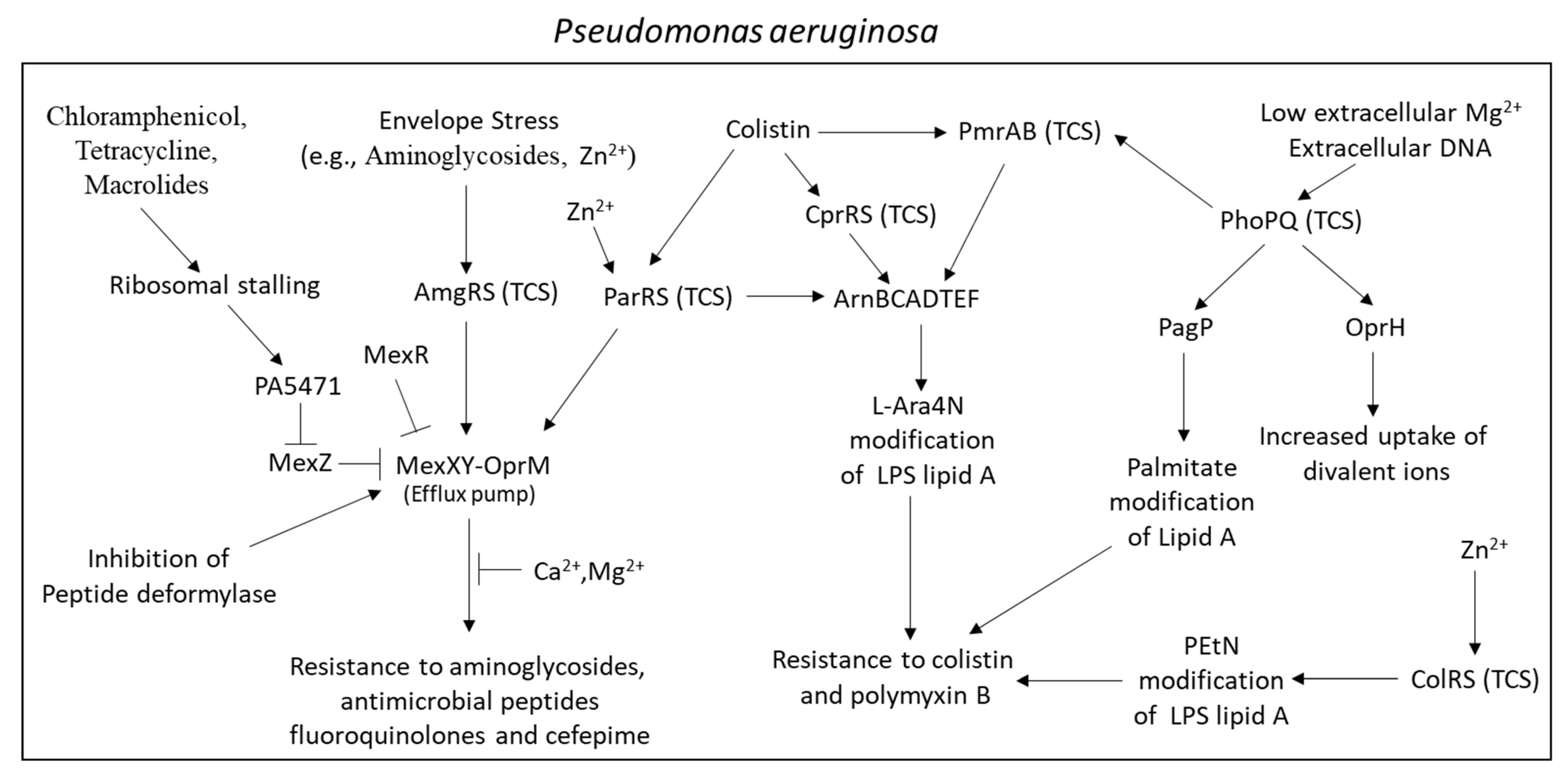 Microorganisms 10 01239 g002 Microorganisms 10 01239 g002