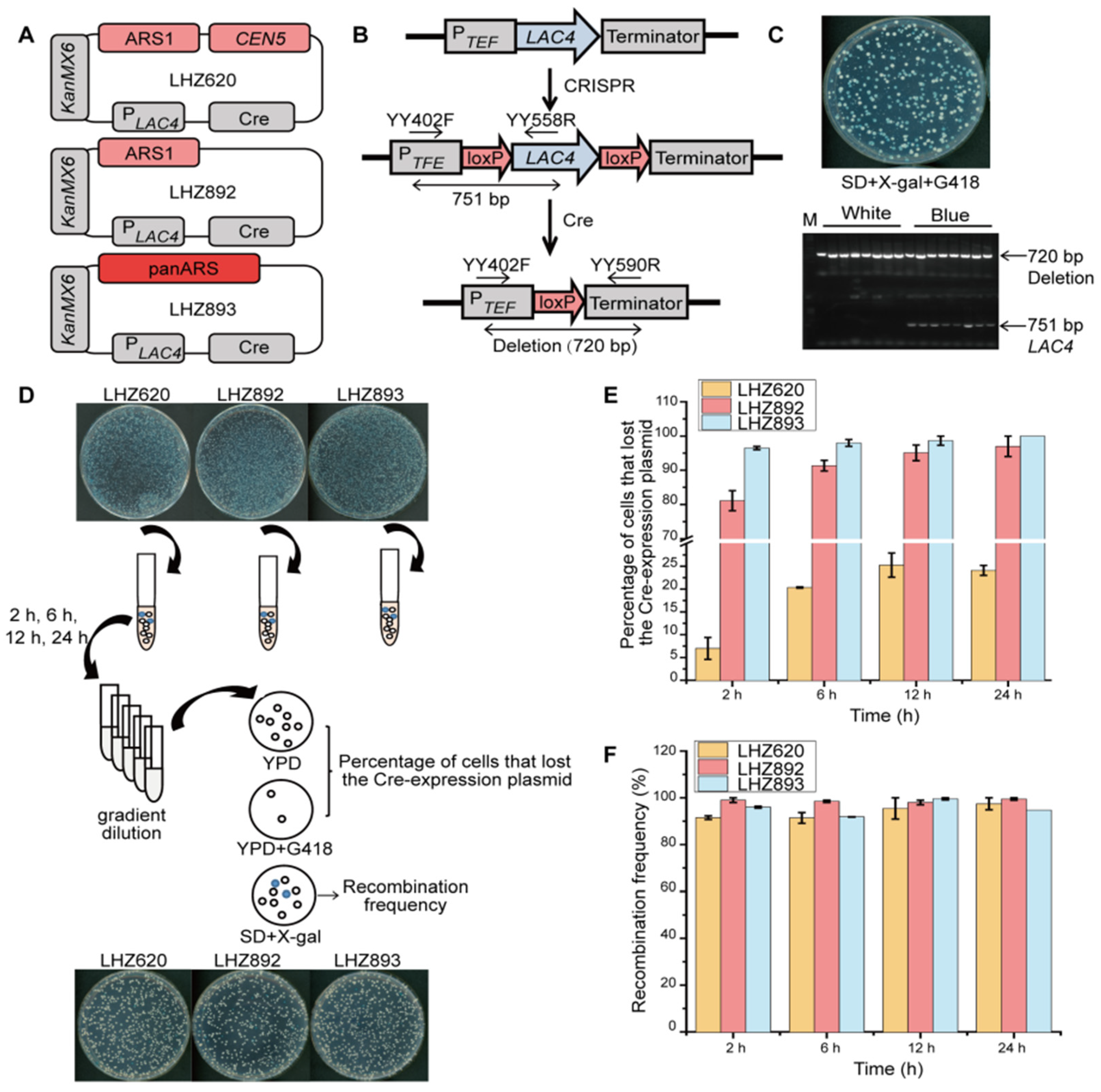 Microorganisms 10 01240 g002