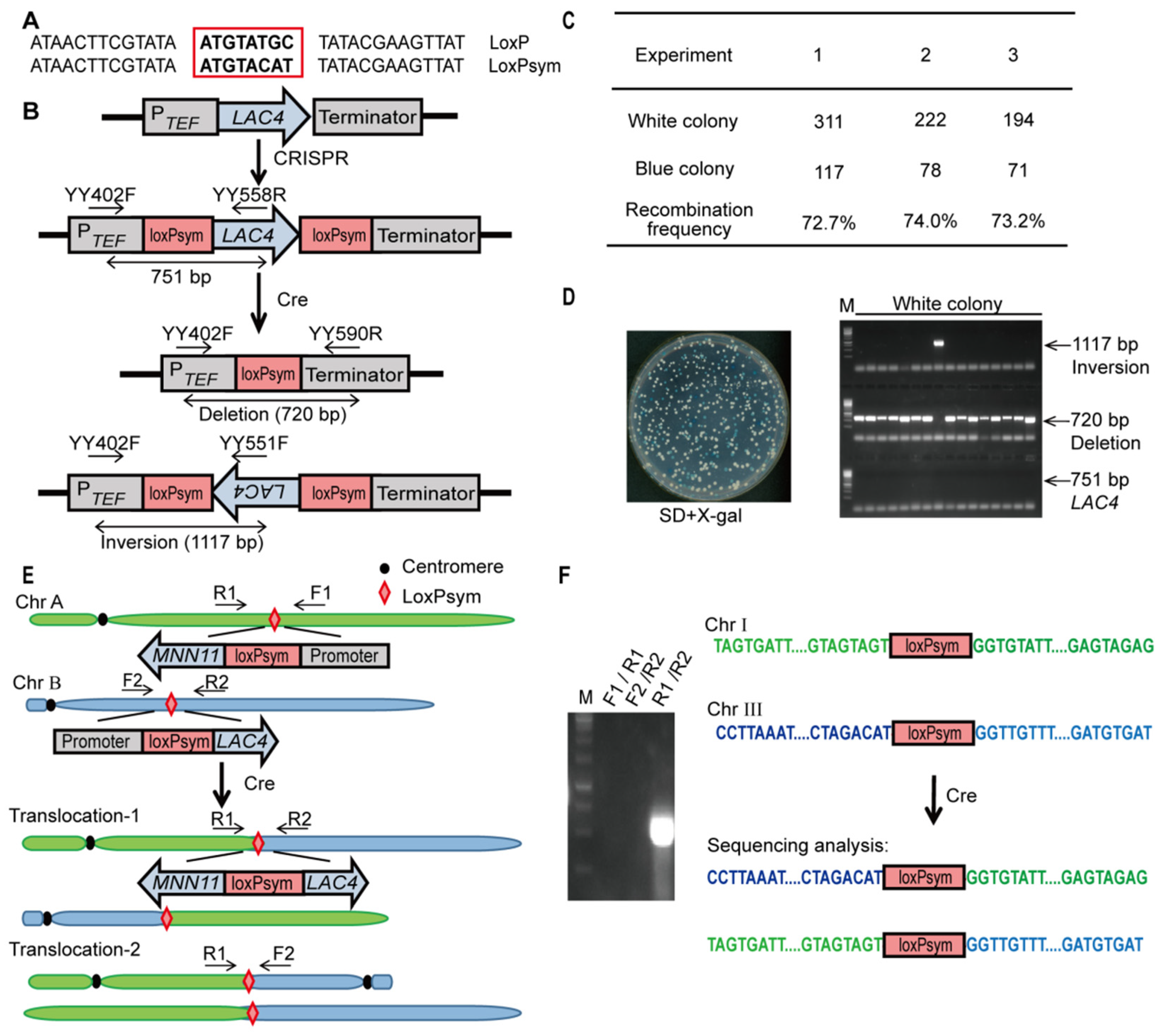 Microorganisms 10 01240 g003