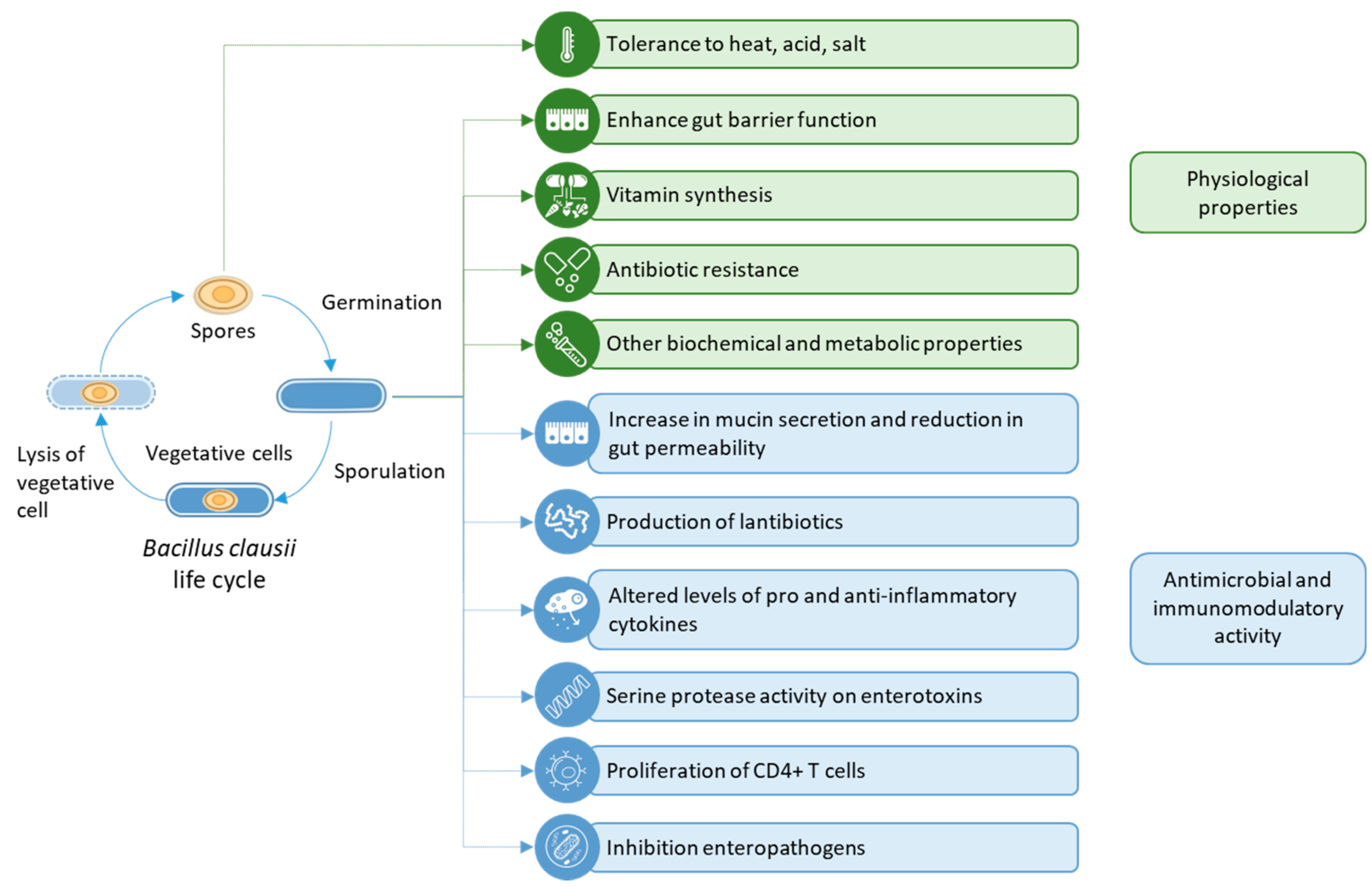 Microorganisms 10 01246 g001