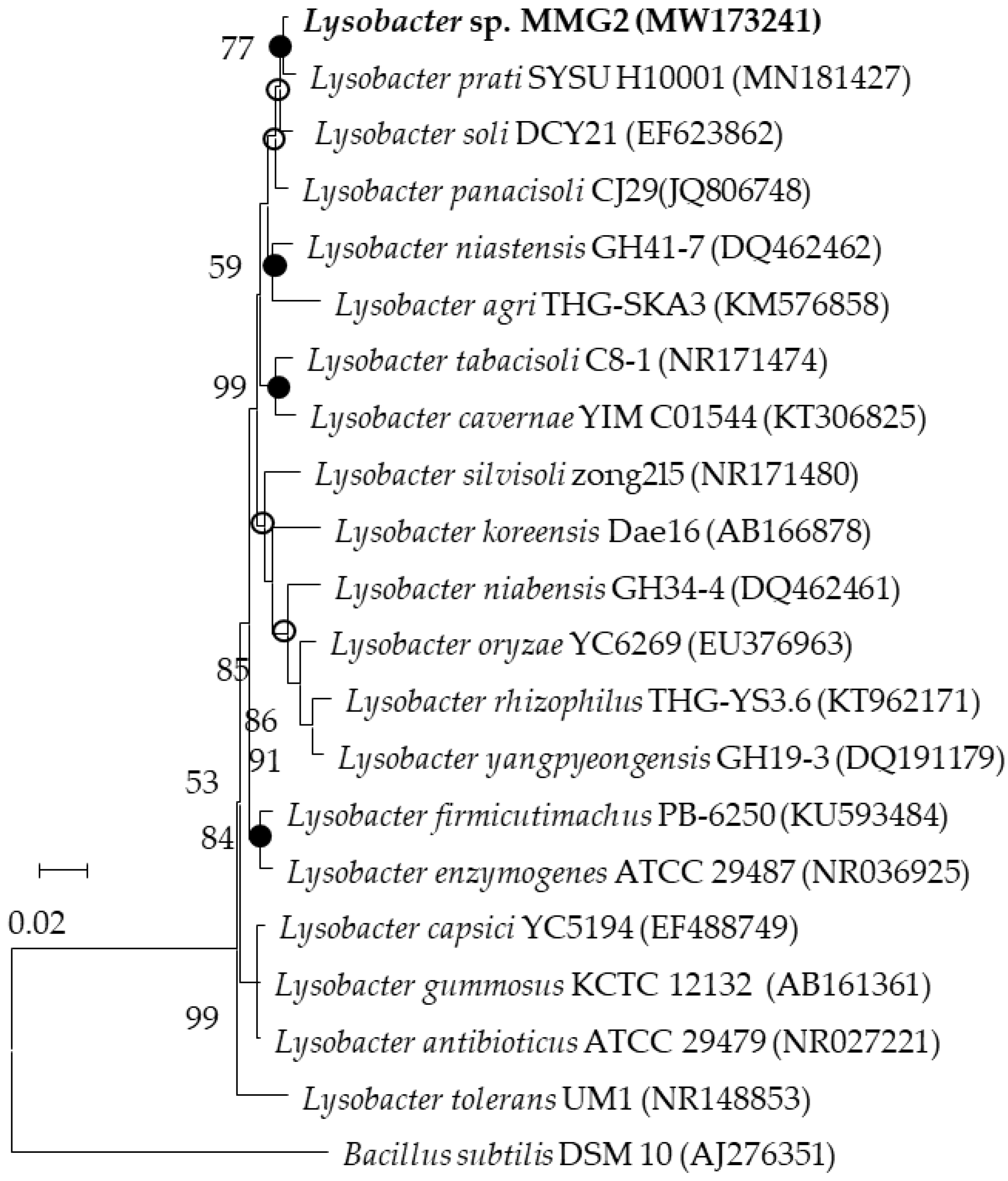 Microorganisms 10 01257 g001