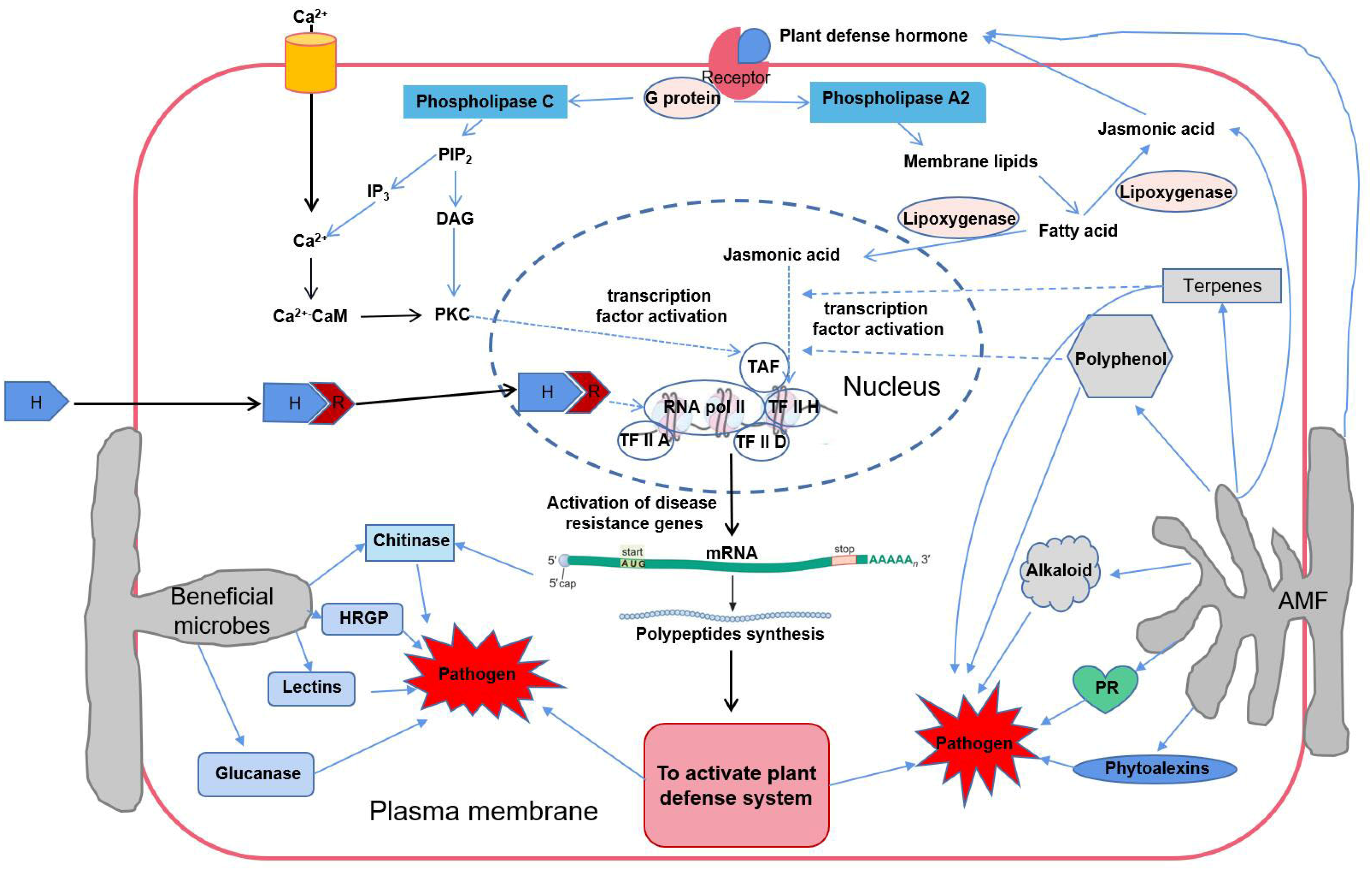 Microorganisms 10 01266 g003