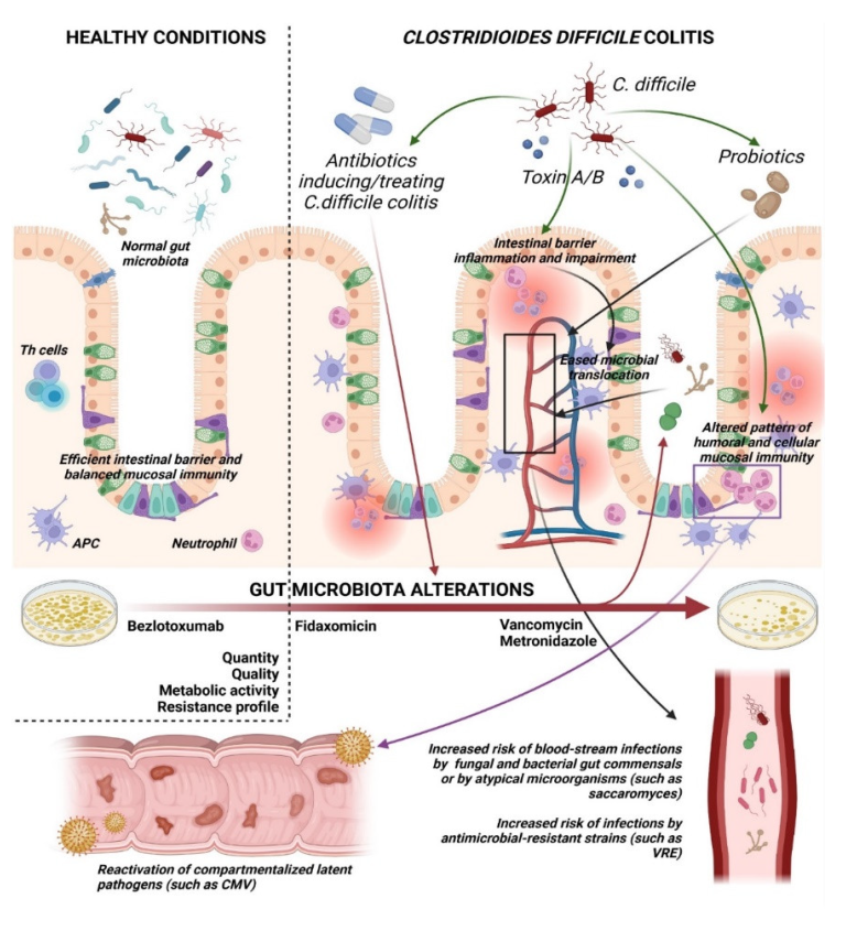 Microorganisms 10 01275 g001