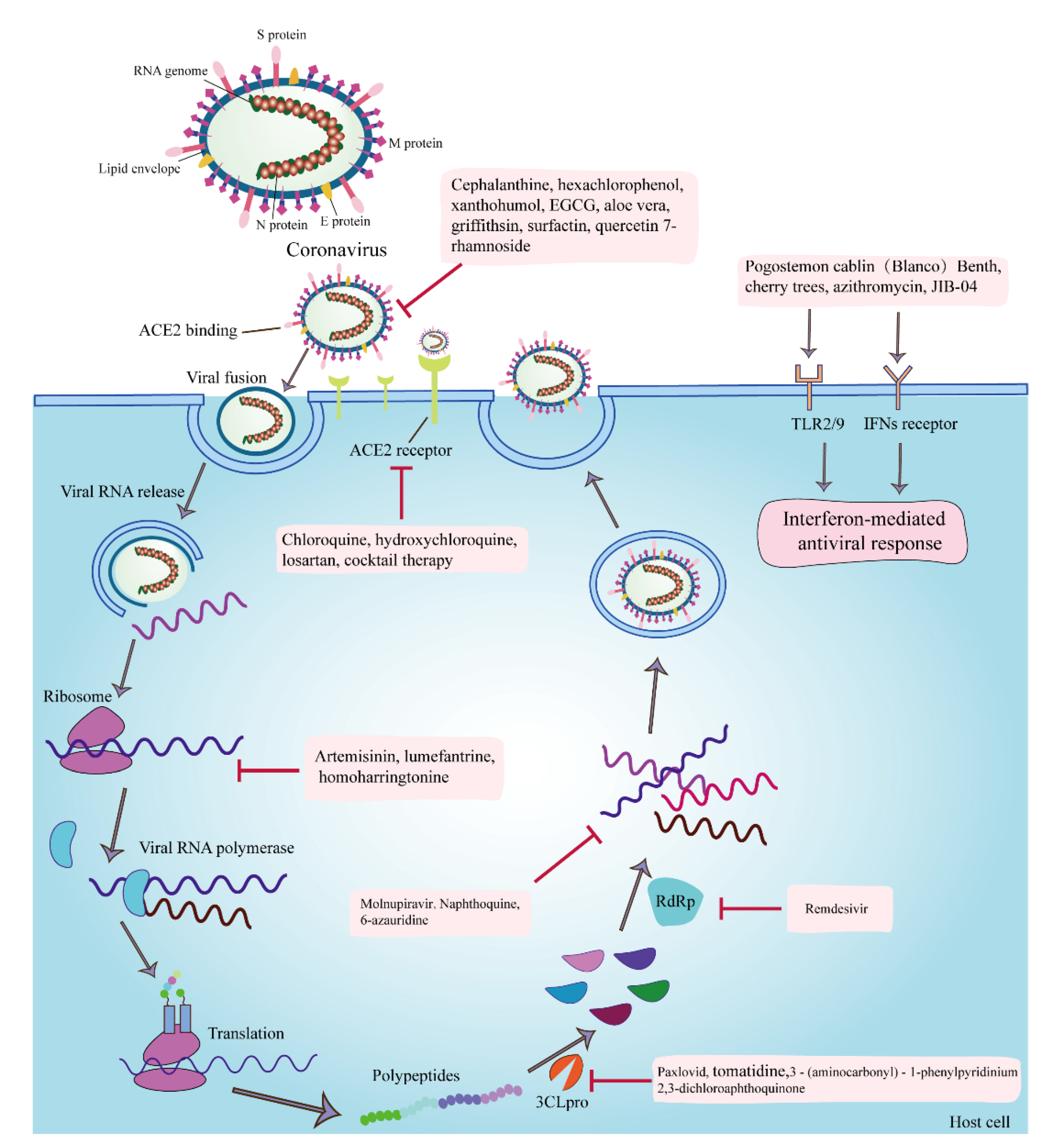 Microorganisms 10 01294 g001
