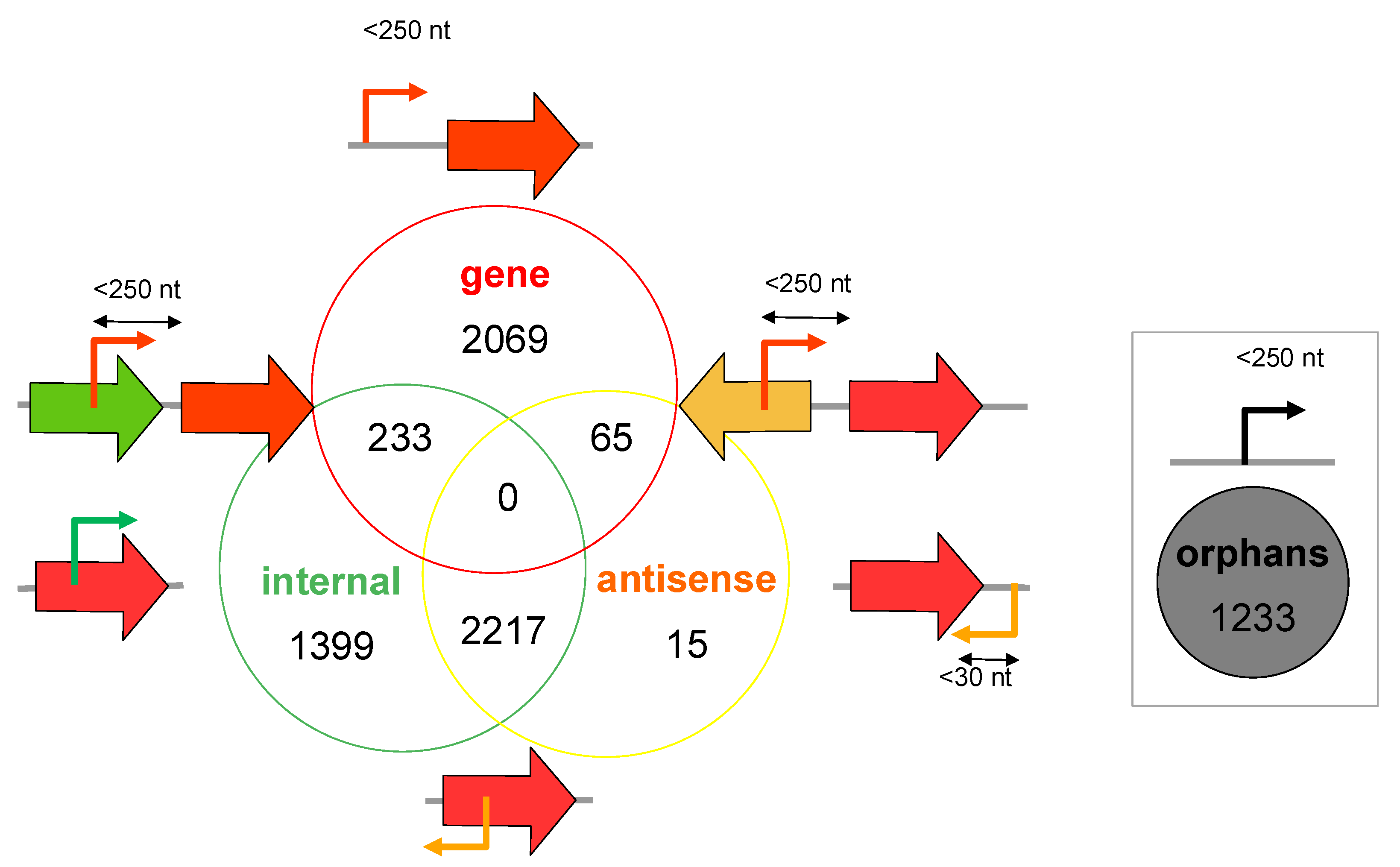 Microorganisms 10 01301 g002 Microorganisms 10 01301 g002