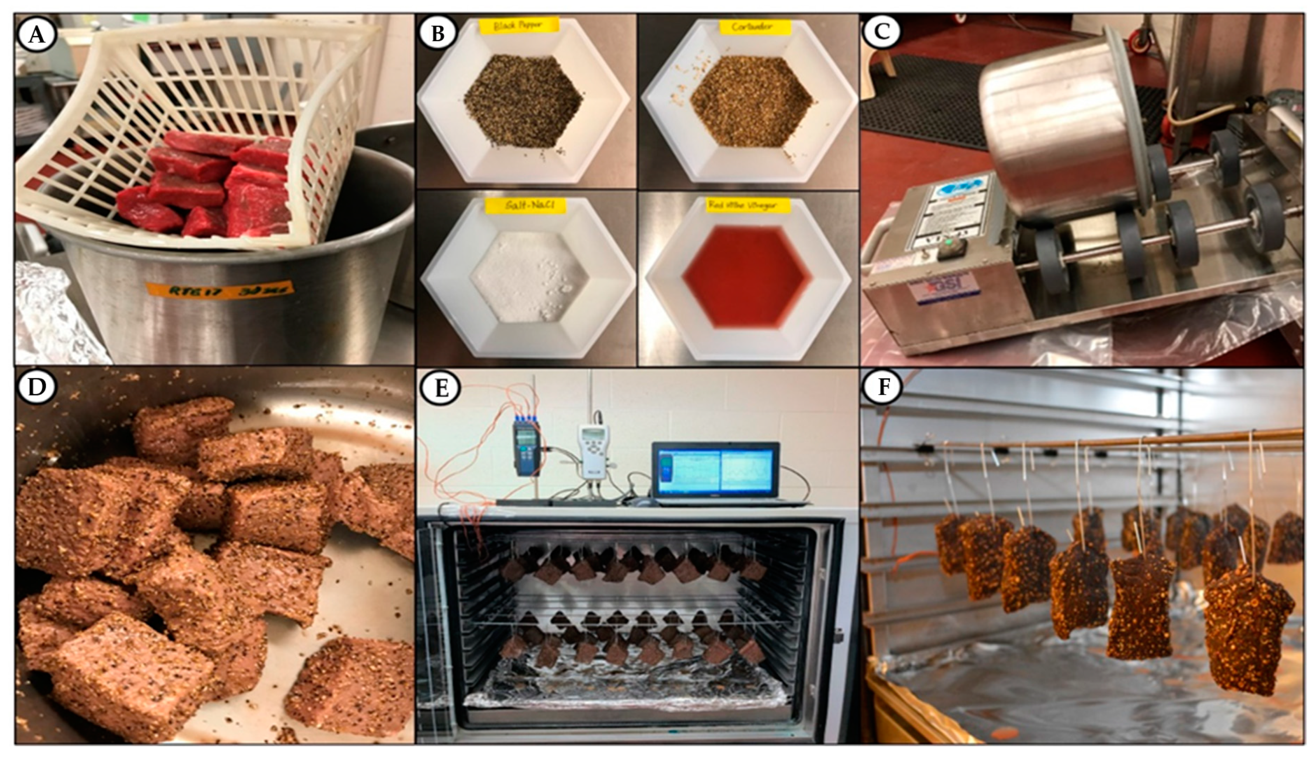 Microorganisms 10 01308 g002