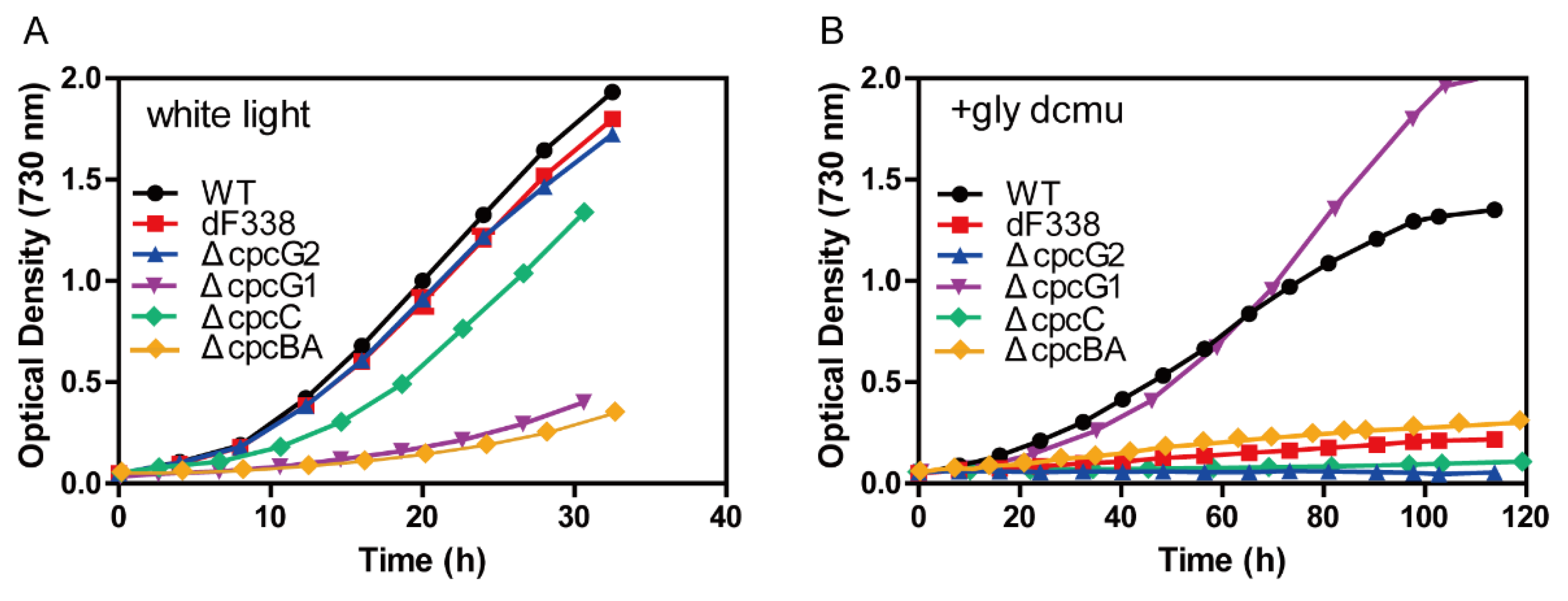 Microorganisms 10 01313 g003