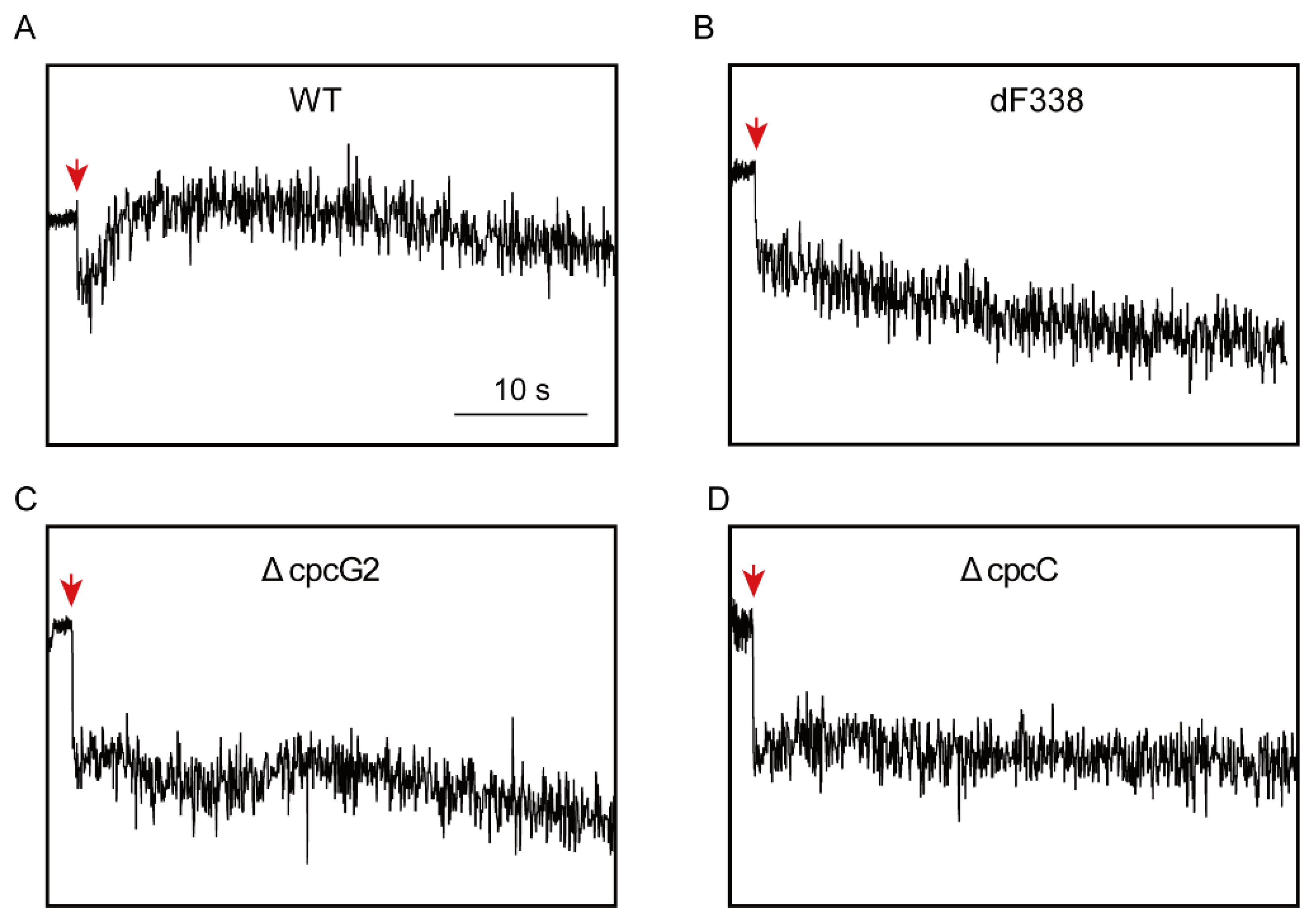 Microorganisms 10 01313 g004