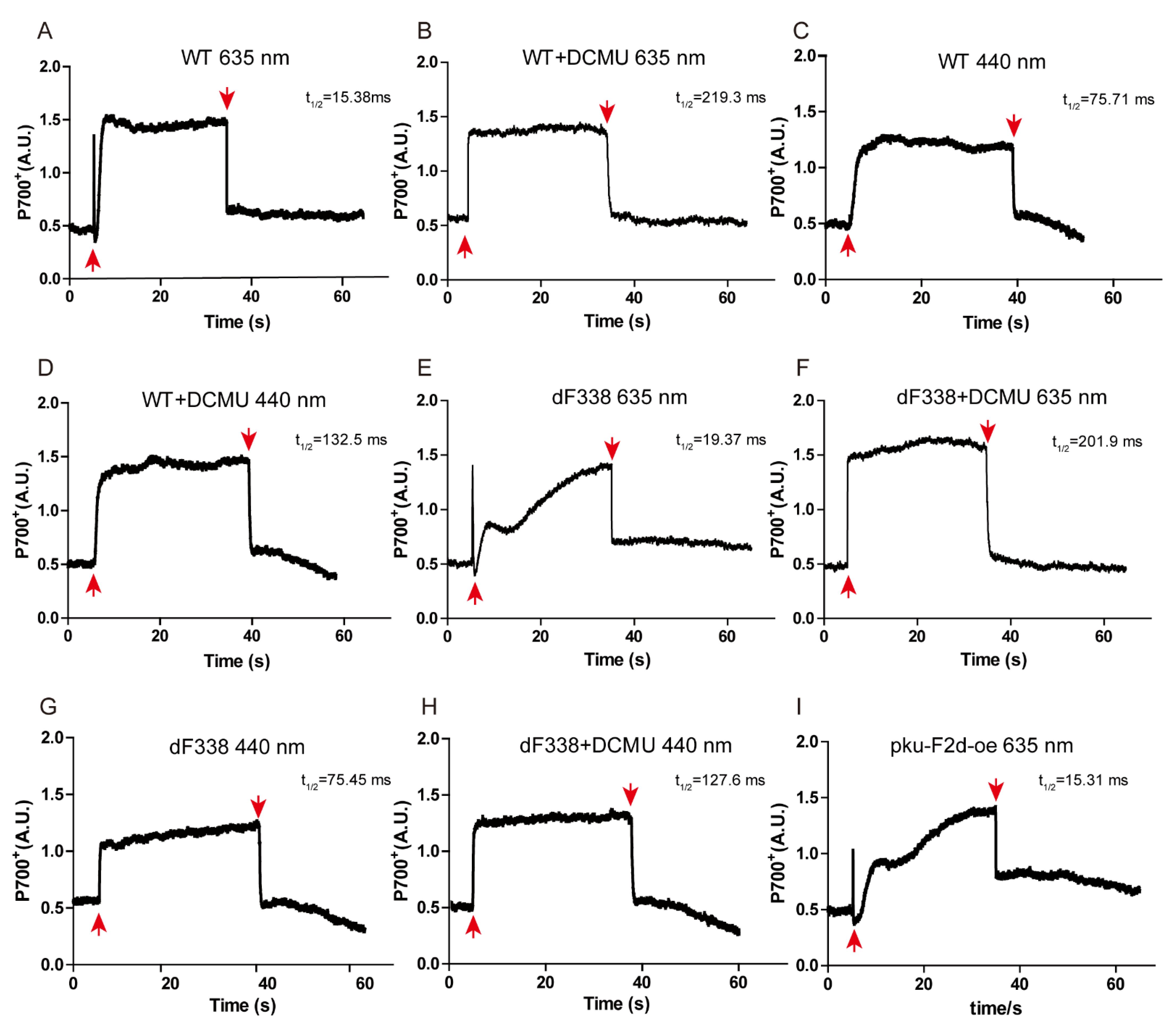 Microorganisms 10 01313 g005
